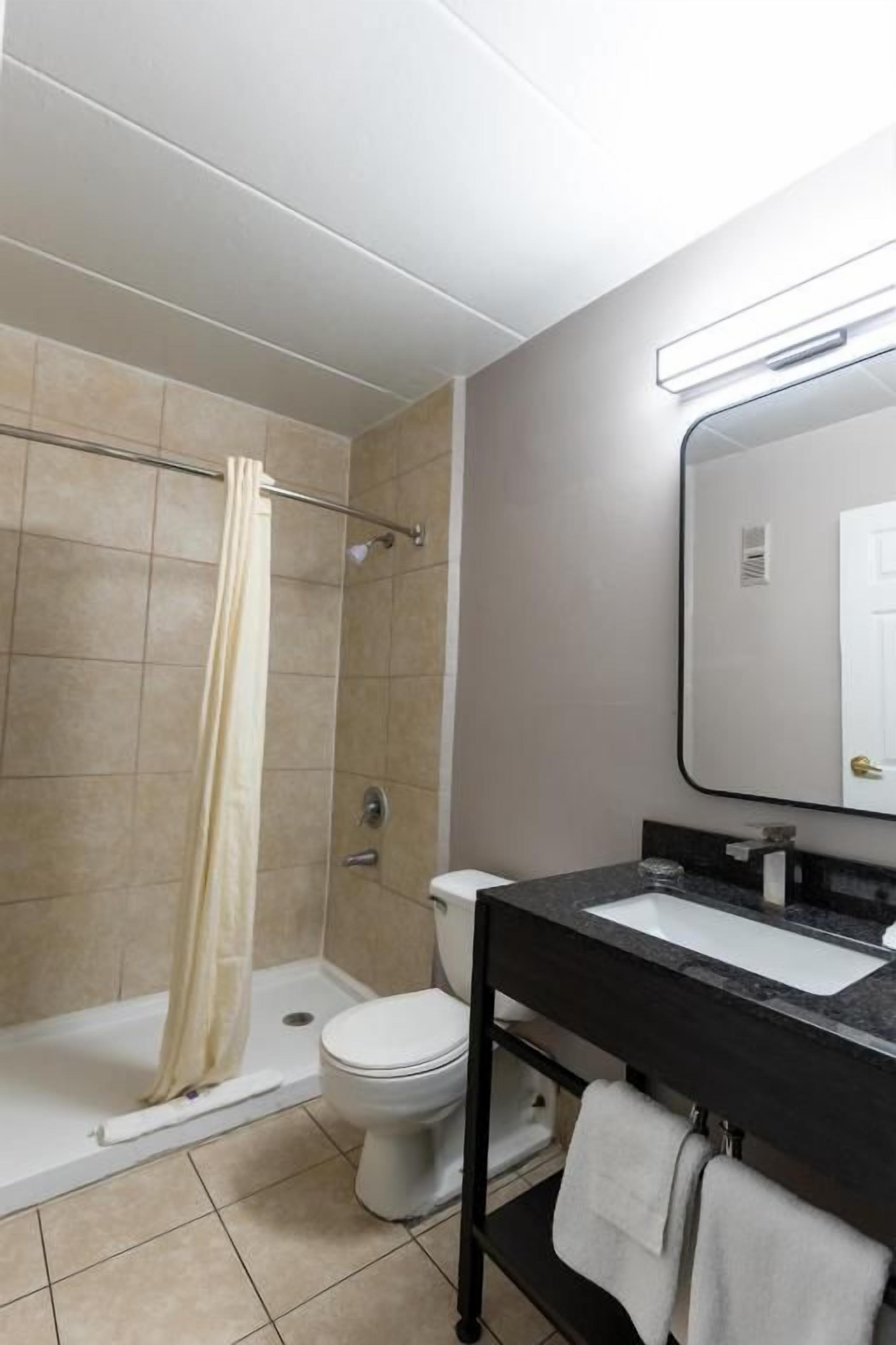 Een badkamer met een douche, toilet, wastafel en spiegel.