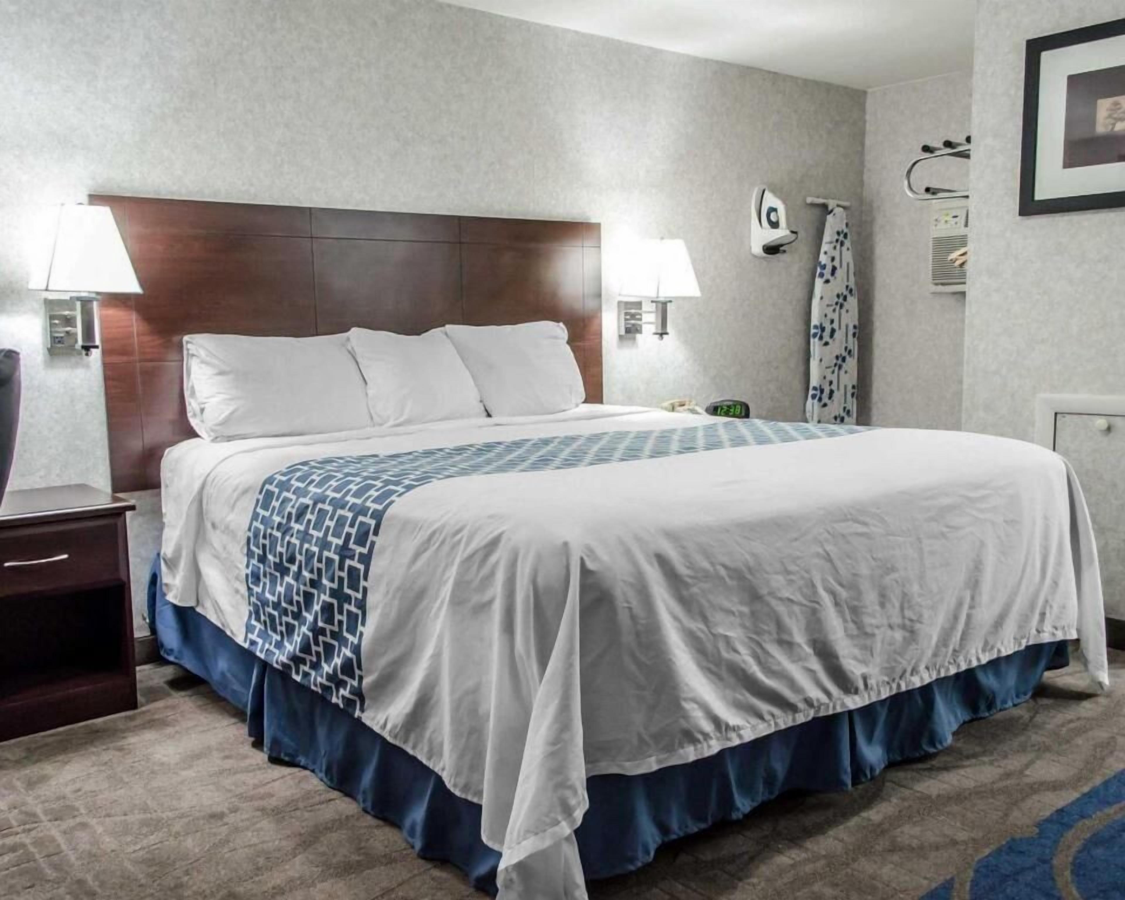 Verduisterende gordijnen, gratis babybedden, extra bedden, gratis wifi