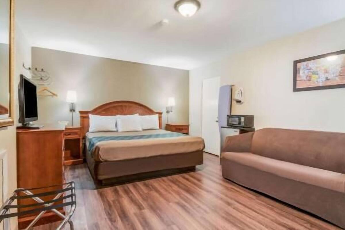 Habitación de hotel con cama, televisor, escritorio, silla, sofá y un cuadro en la pared.