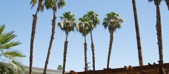 Inn at Deep Canyon