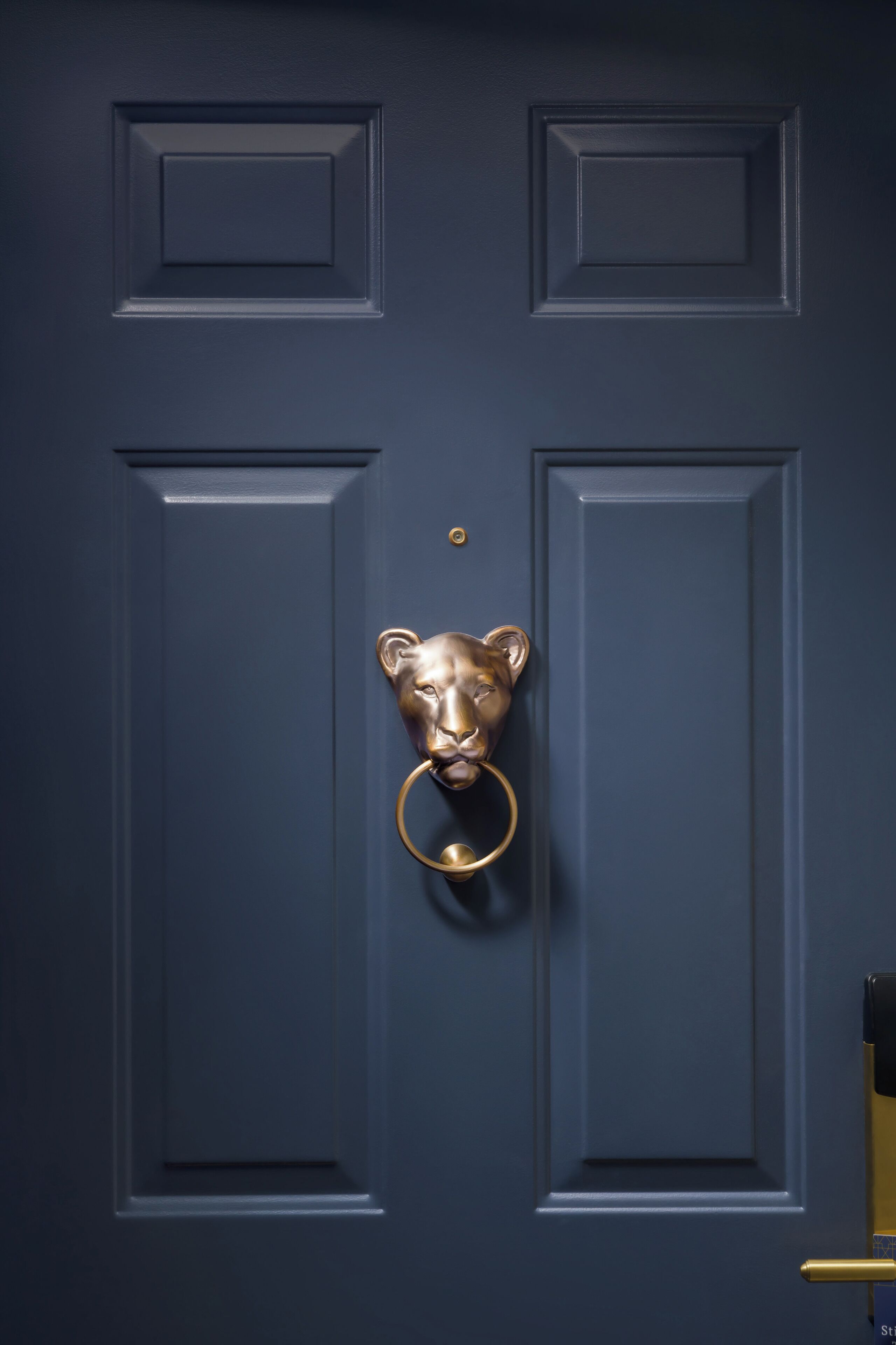 Uma porta azul escura com um aldrabão de leão em bronze e um puxador em bronze.