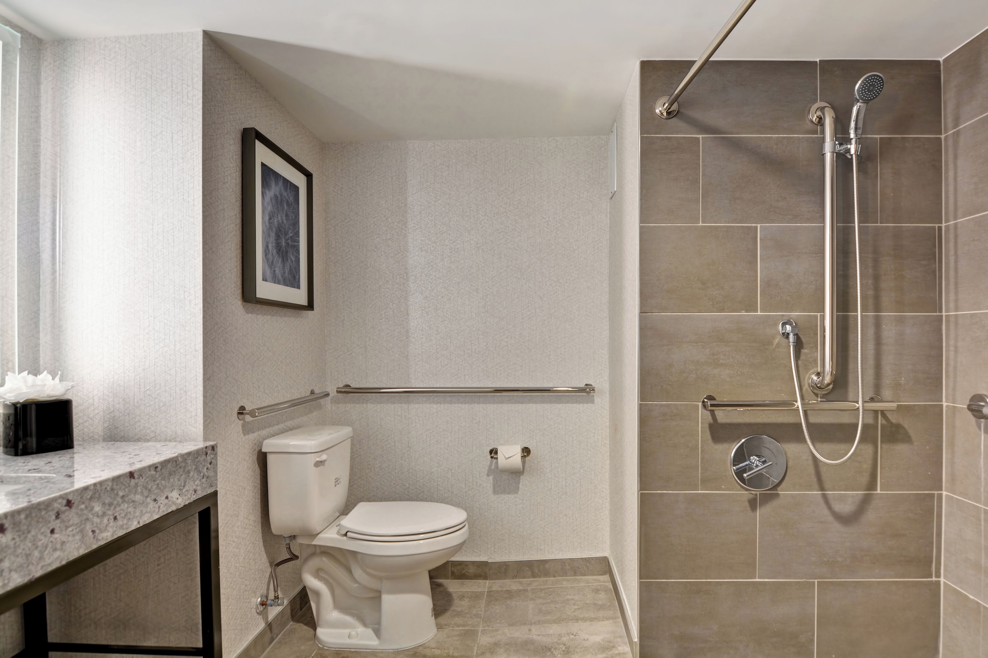 Une salle de bain comprenant des toilettes, une douche avec un pommeau de douche amovible, un porte-serviettes et un tableau encadré au mur.