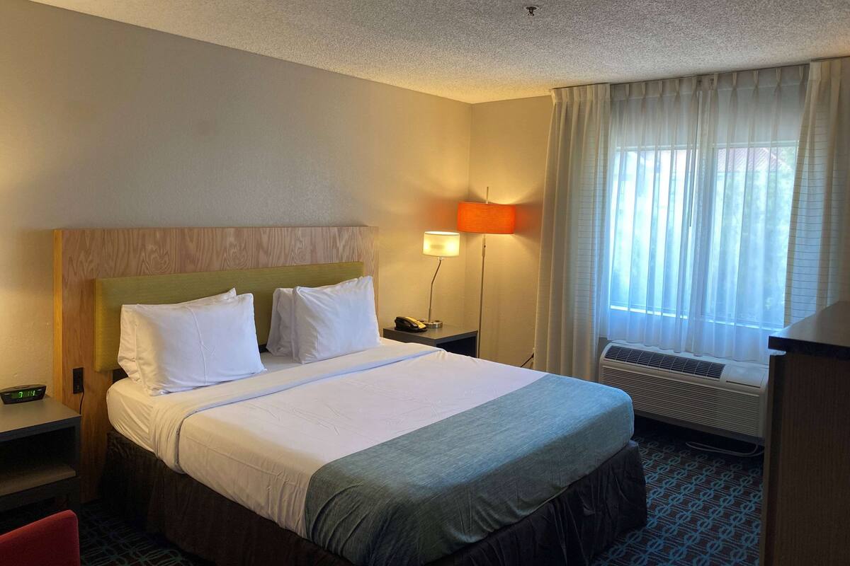 A hotel room with a bed, a bedside table with a lamp, a phone, and an air conditioning unit.
