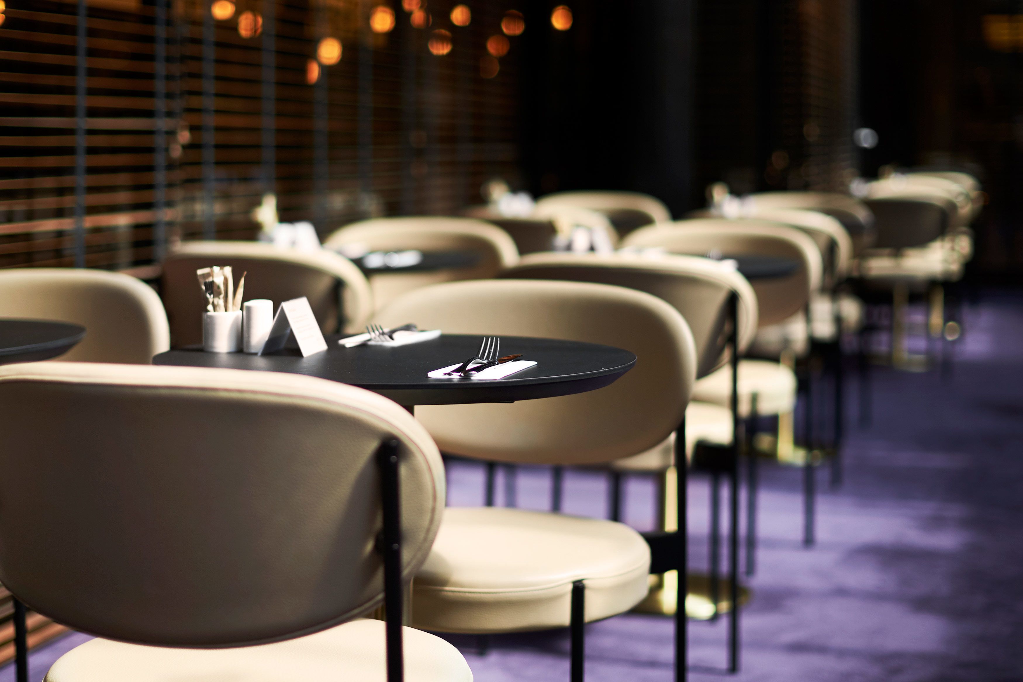 daily buffet breakfast (dkk 195 per person)