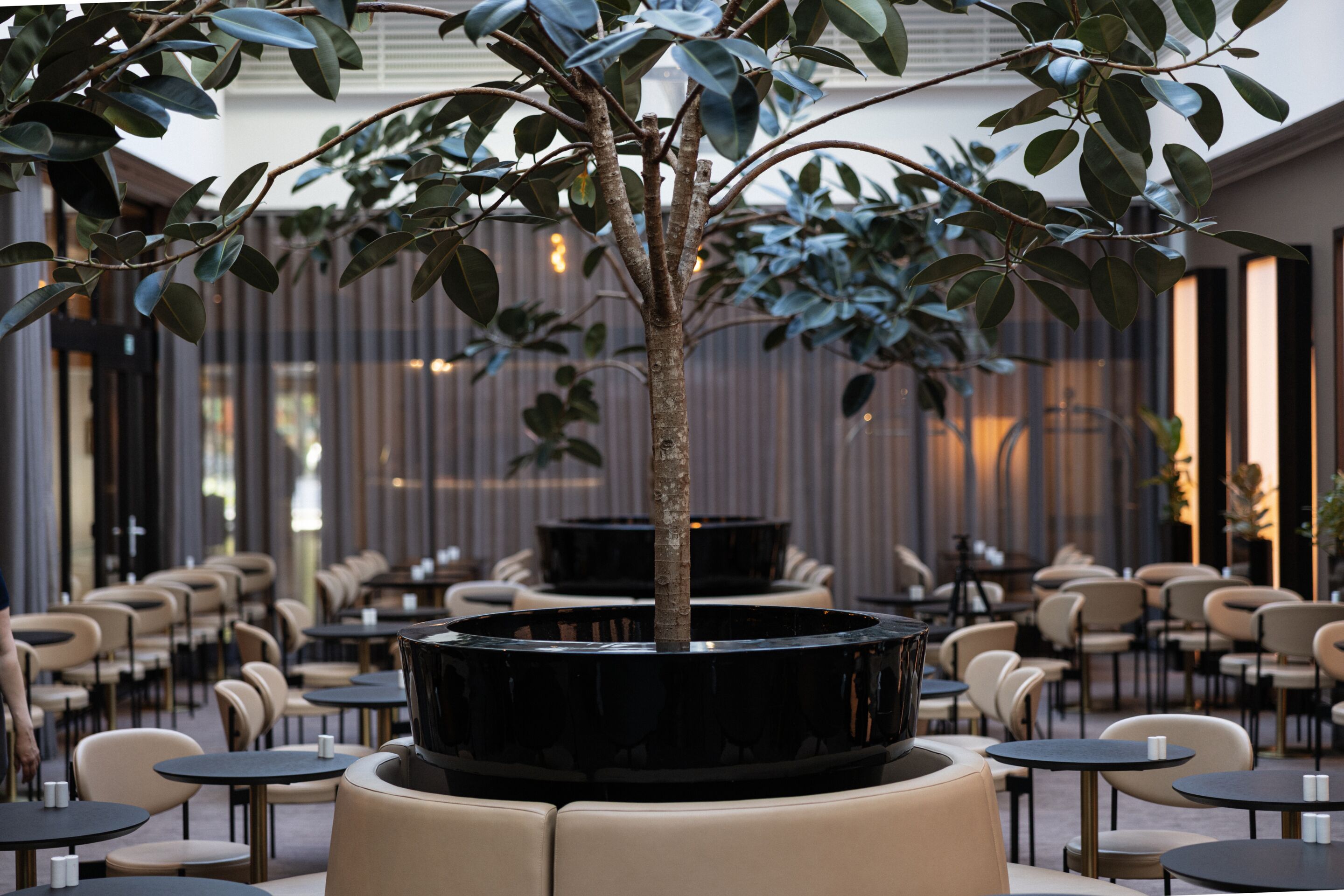 Photo - Imperial Hotel