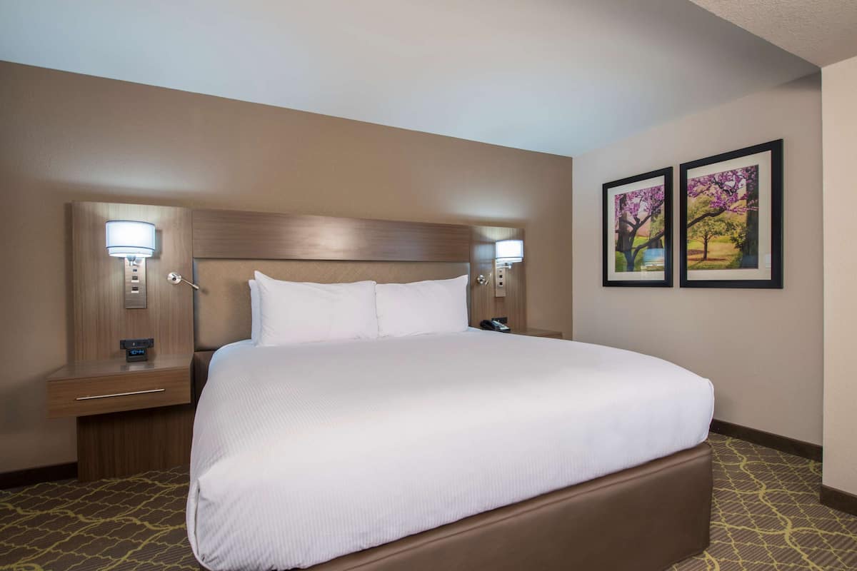 1 bedroom, Egyptian cotton sheets, premium bedding, pillowtop beds