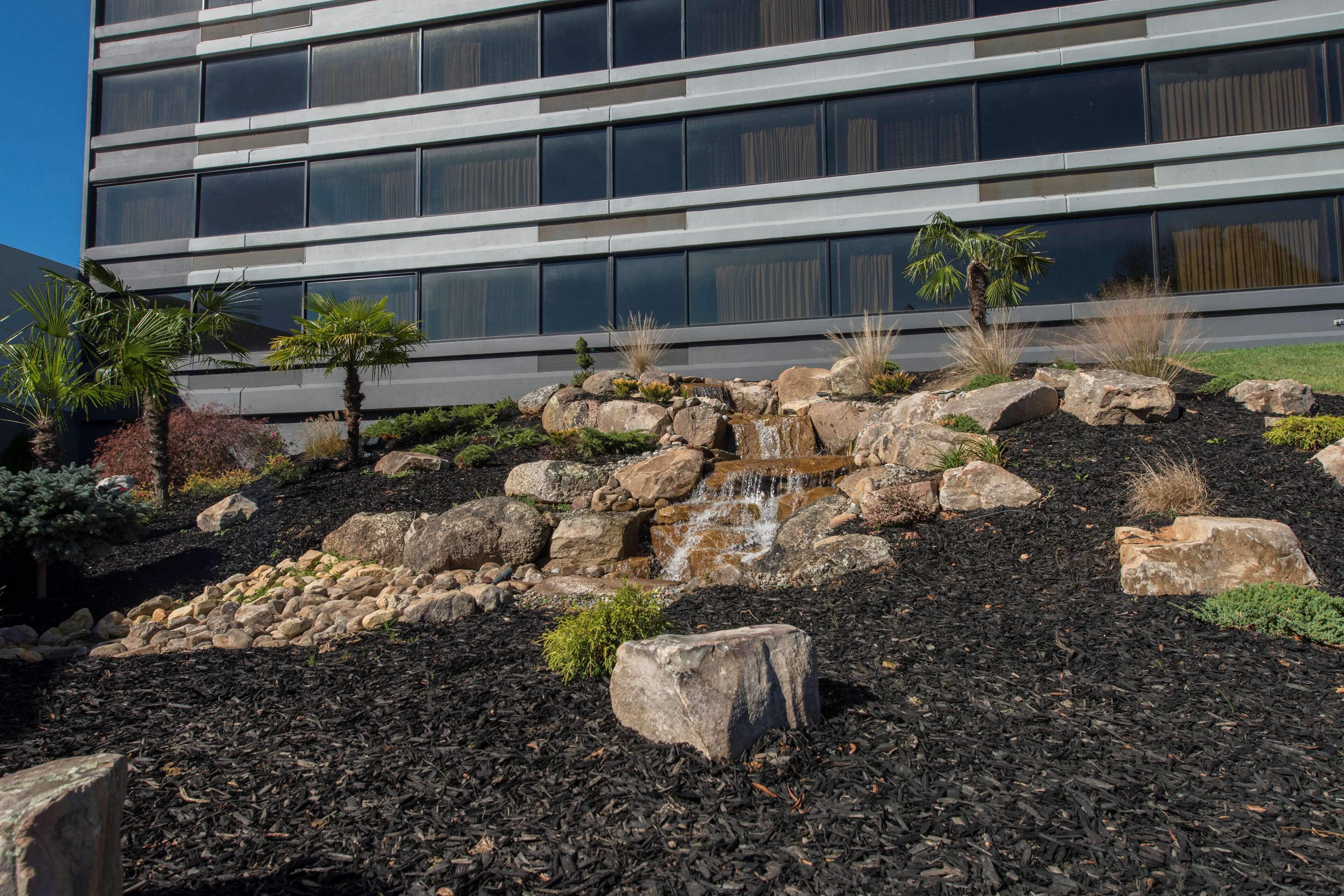 A landscaped area with a waterfall, rocks, and small palm trees in front of a modern building with large windows.