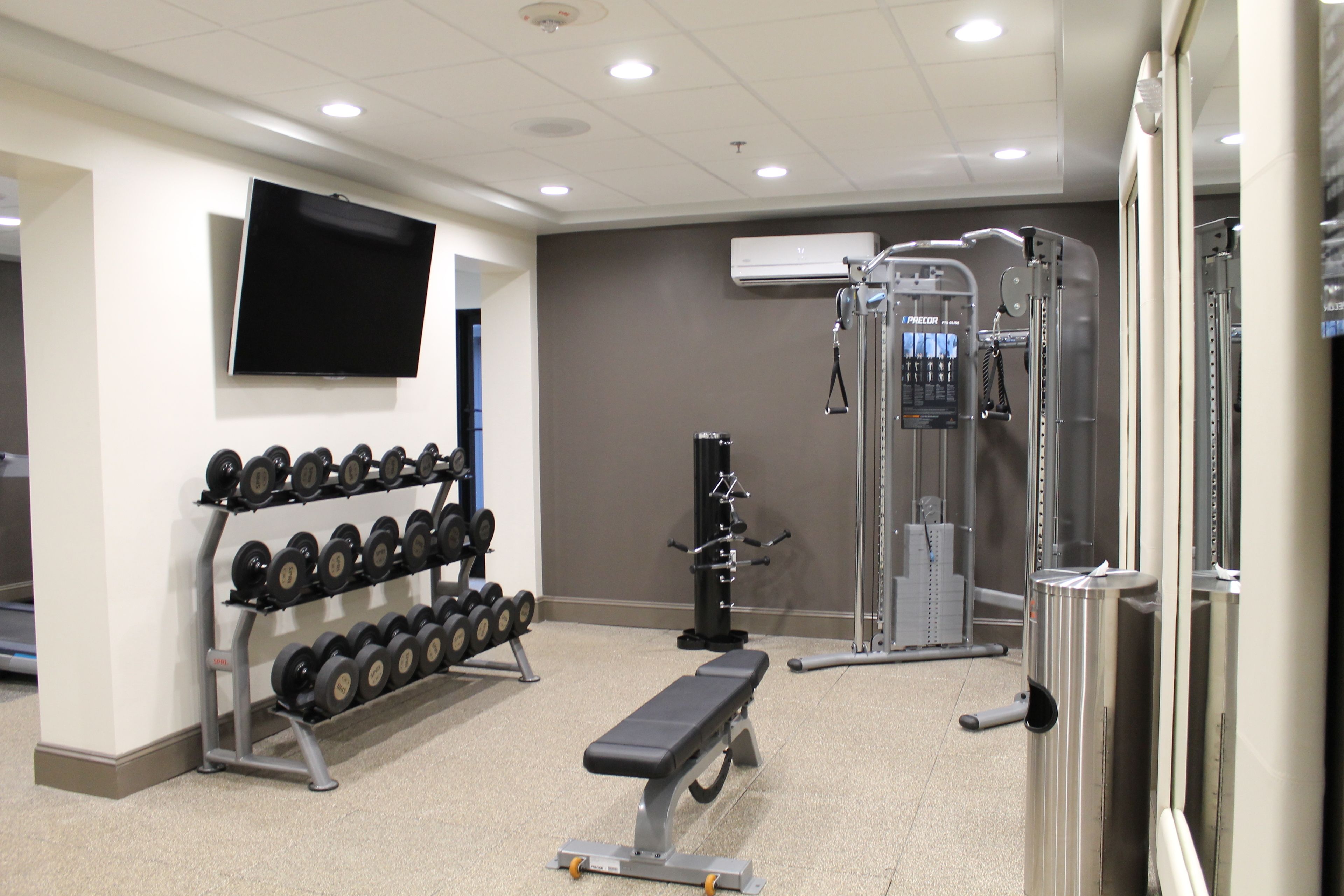 Un gimnasio con banco, mancuernas y una estructura para sentadillas.