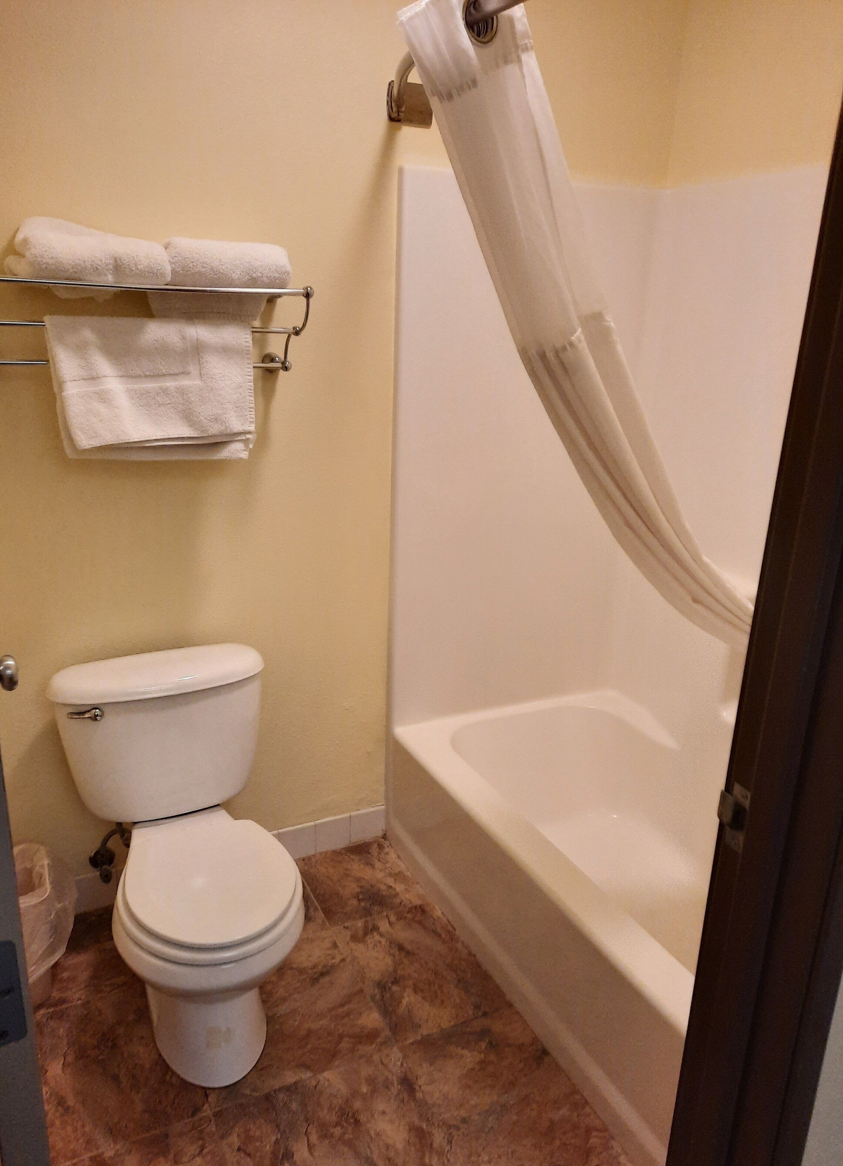 combined shower/bathtub, free toiletries, hair dryer, towels