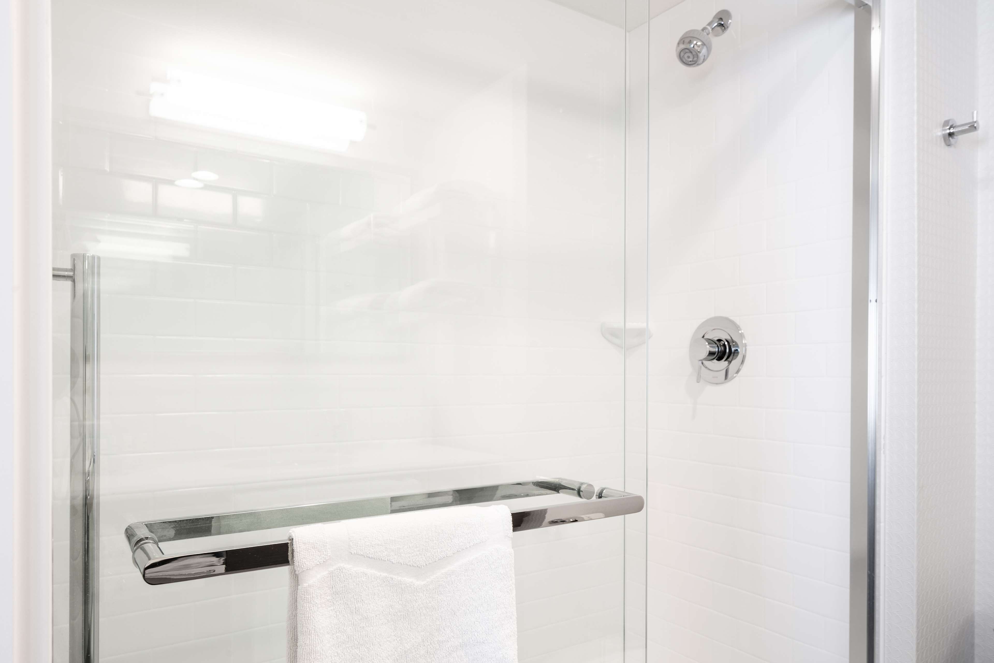 room, 1 king bed, accessible, non smoking (roll-in shower) | bathroom shower