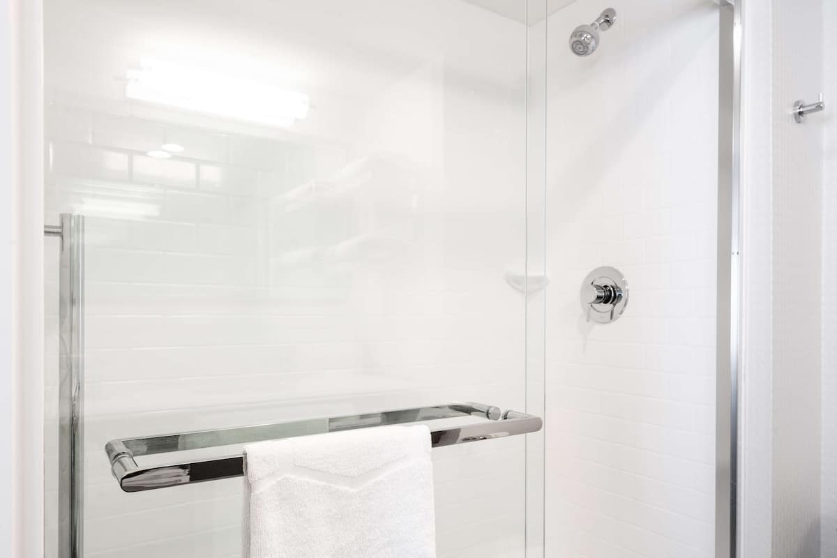 room, 1 king bed, accessible, non smoking (roll-in shower) | bathroom shower