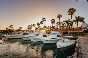 A marina with several boats docked, surrounded by palm trees and a building with a red roof.