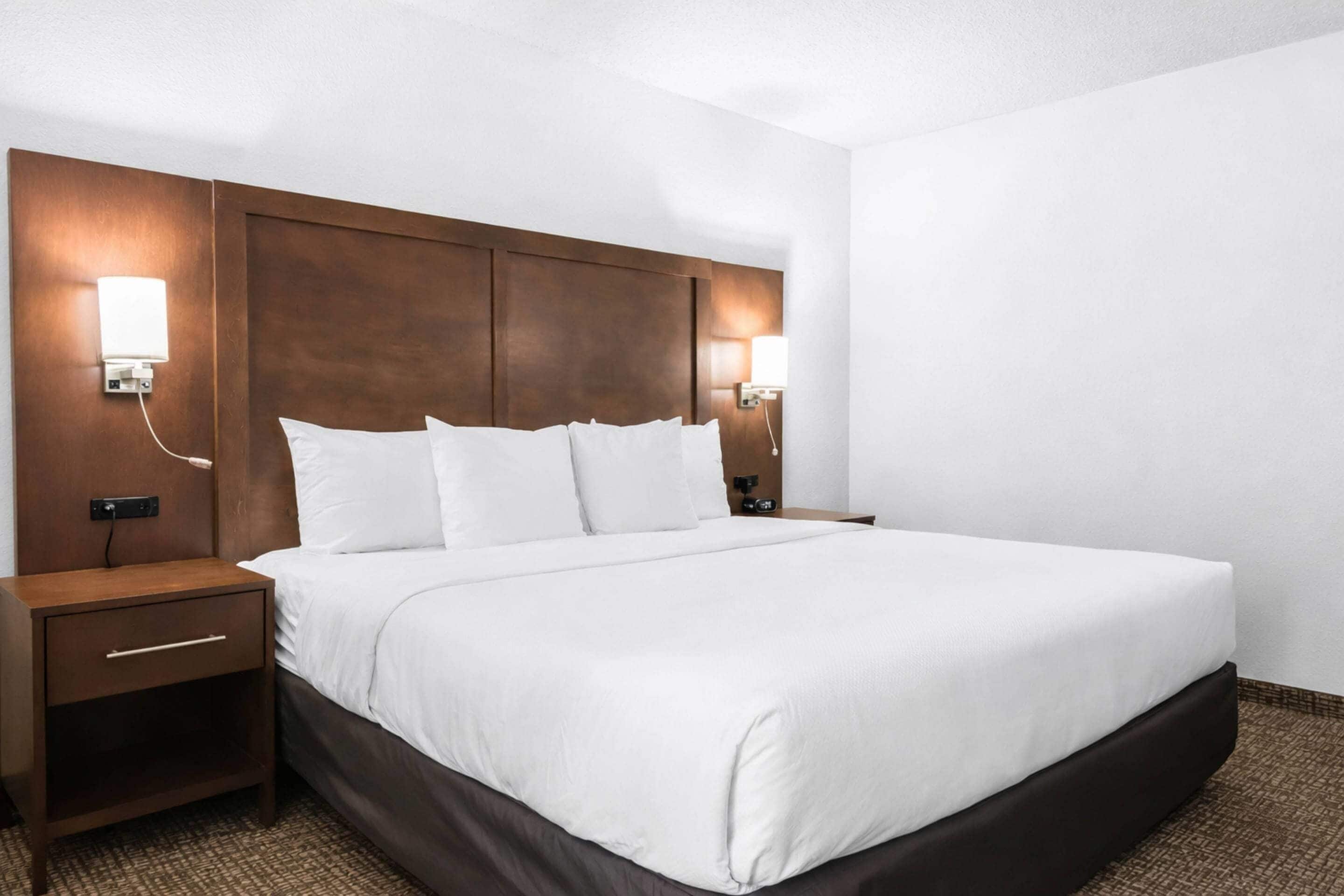Standard Suite, 1 King Bed, Accessible, Non Smoking | Desk, blackout curtains, iron/ironing board, free cots/infant beds