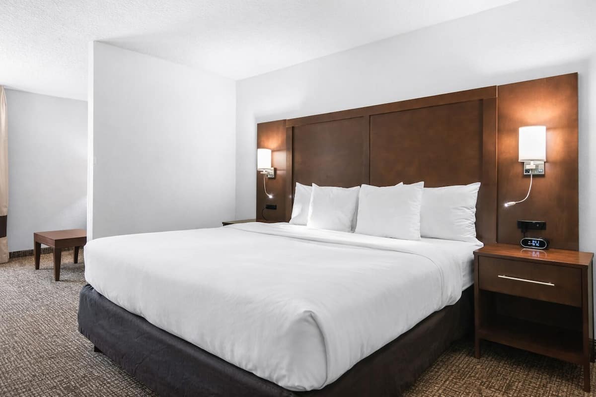 Standard Suite, 1 King Bed, Accessible, Non Smoking