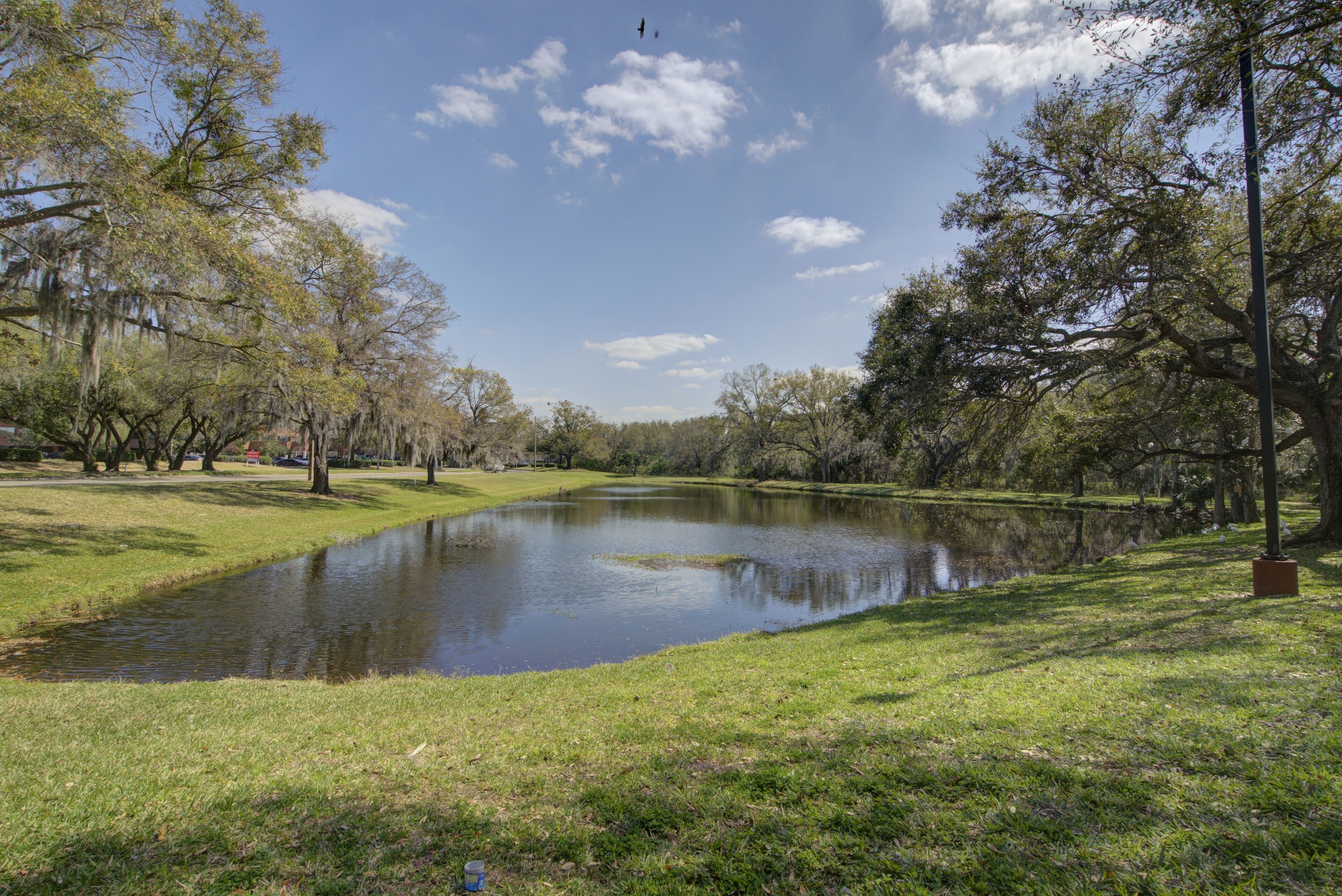 A serene park with a pond, trees, and a clear sky.