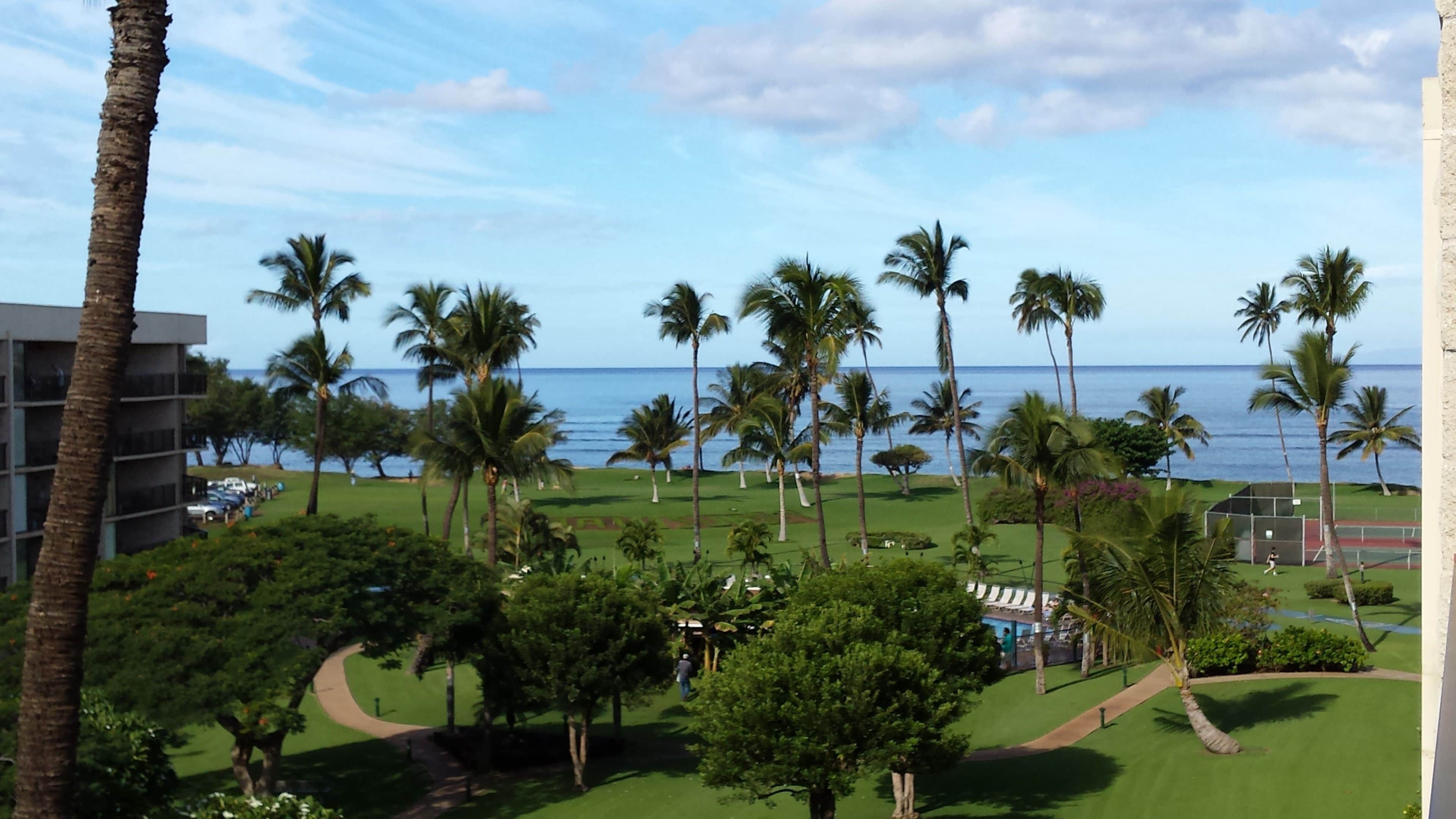 Vista de un campo de golf con palmeras y un edificio en primer plano.