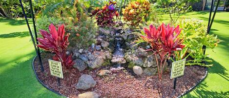 Un jardín ajardinado con fuente de agua rodeado de diversas plantas y rocas.