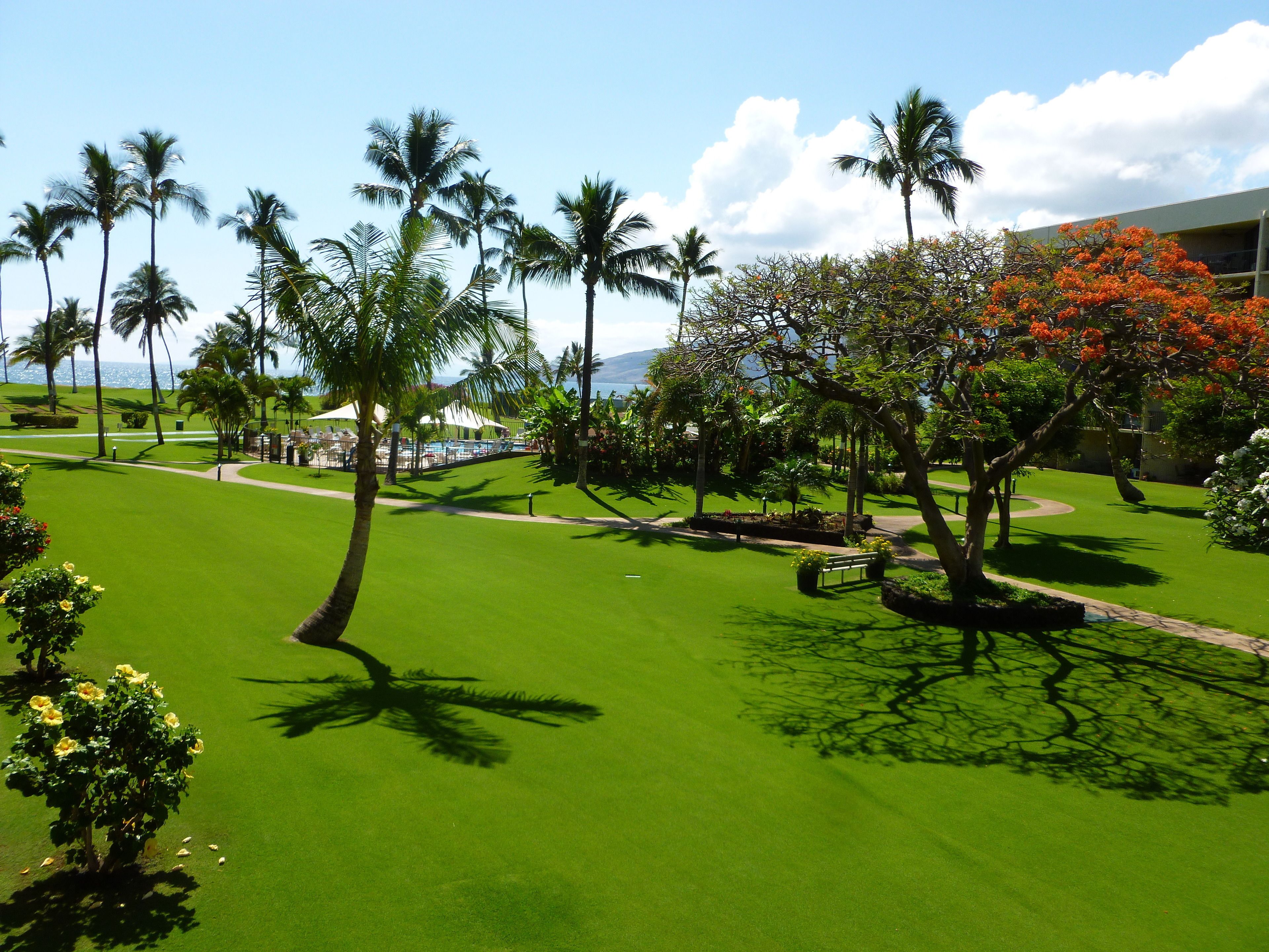 A well-maintained golf course with palm trees, a pool area, and a view of the ocean.