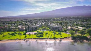 Une station balnéaire dotée d’un bâtiment principal entouré de palmiers et donnant sur une plage.