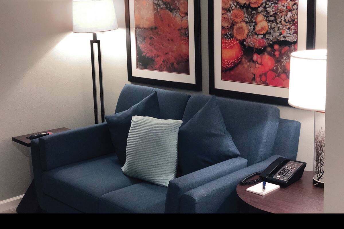 A room with a blue sofa, two framed floral artworks on the wall, a floor lamp, and a small table with a telephone.