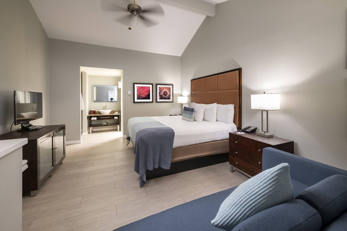 A modern hotel room with a bed, a desk, a TV, a sofa, and a bathroom visible through an open door.