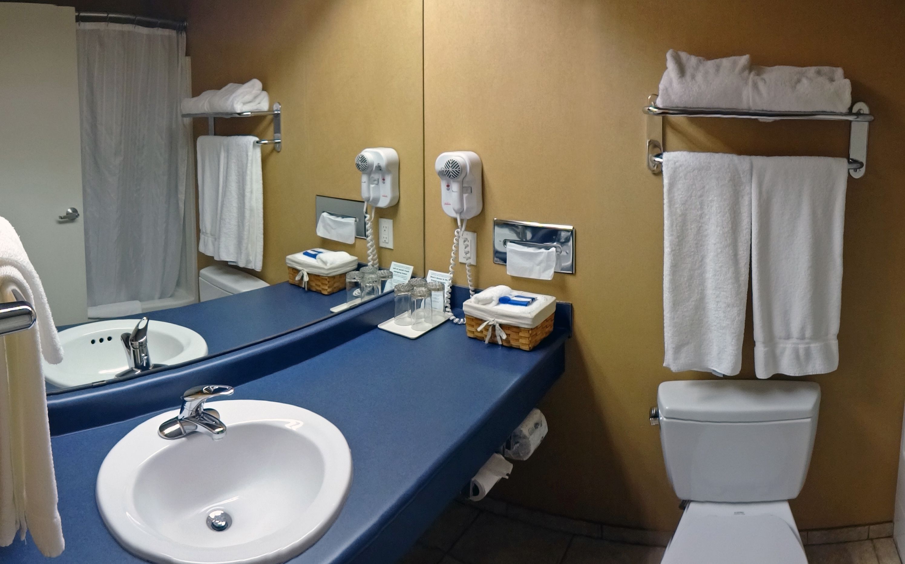 combined shower/bathtub, free toiletries, hair dryer, towels