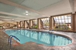 Indoor pool, sun loungers