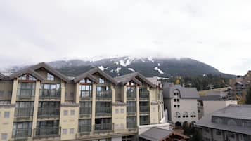 Loft, 1 Bedroom, Balcony, Mountain View | Mountain view