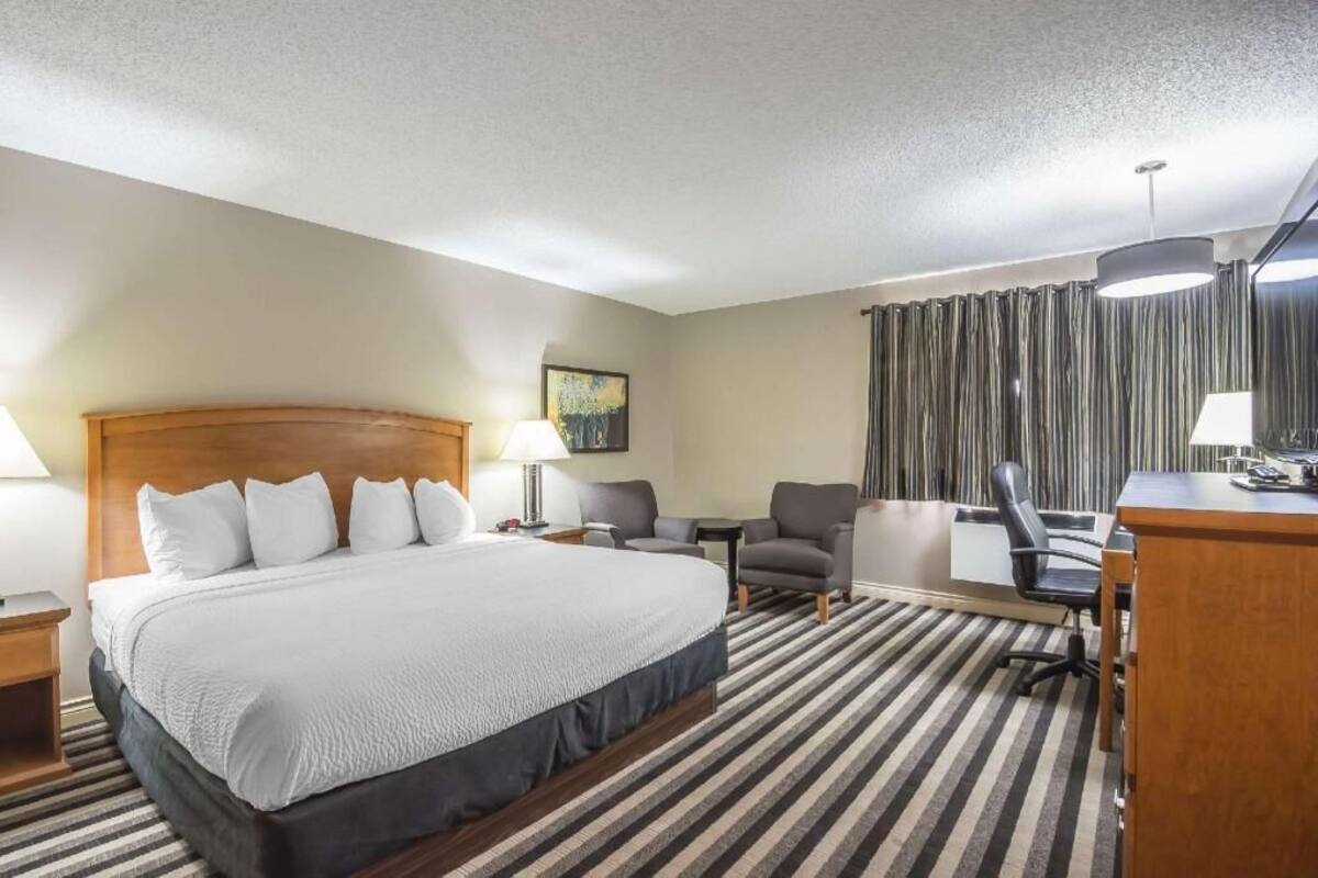 A hotel room with a large bed, a desk, two chairs, a lamp, a painting on the wall, and a striped carpet.