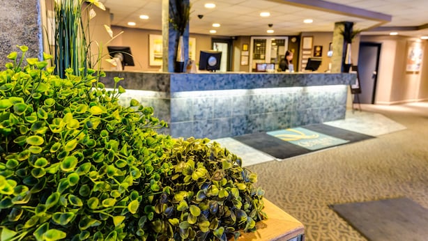 A reception area with a marble counter, a large green plant, and a reception desk.