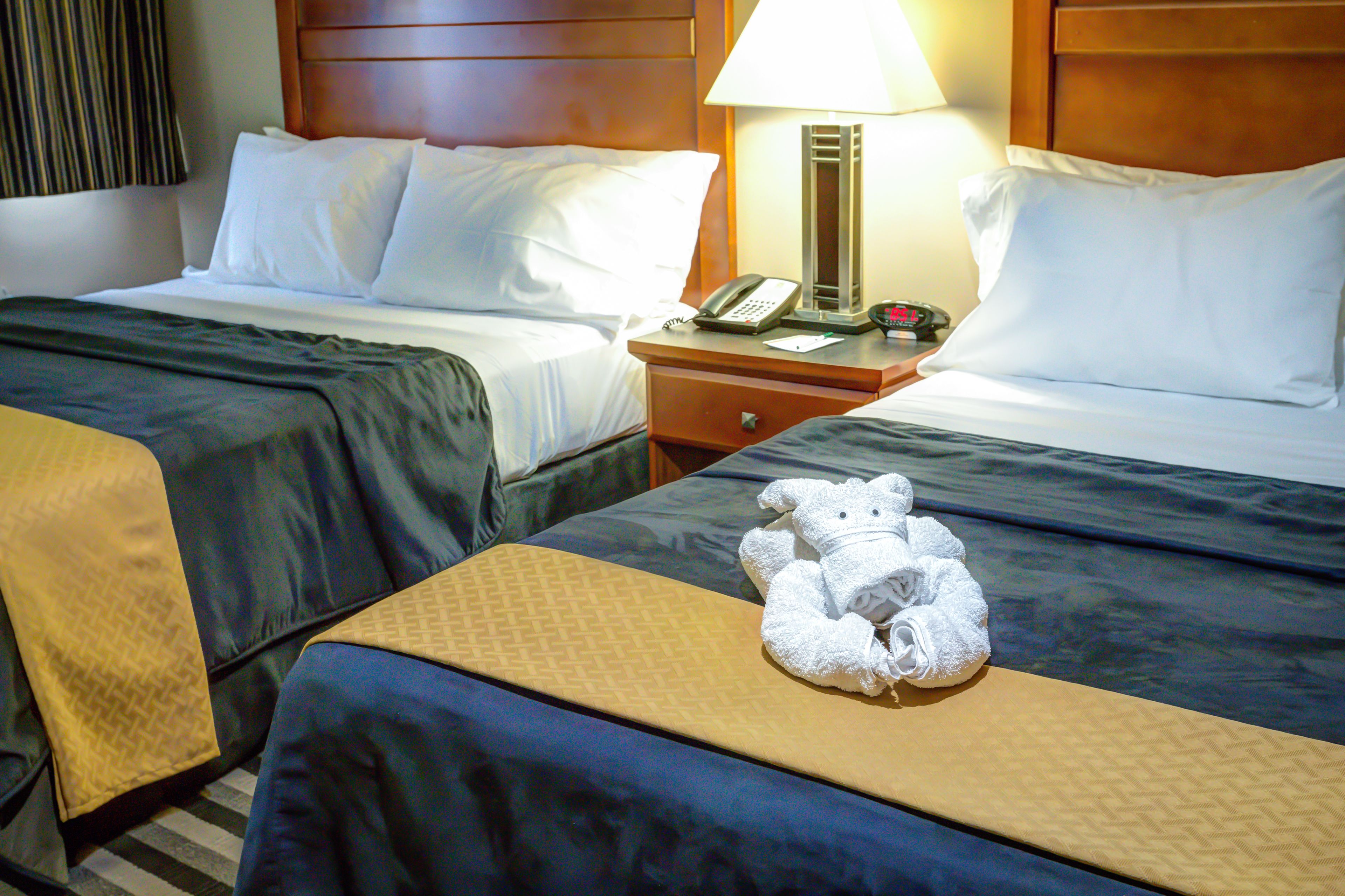 Une chambre d’hôtel avec deux lits, chacun étant équipé d’un oreiller et d’une couverture. On y trouve une table de chevet avec une lampe et un téléphone. Un ours en peluche est posé sur le lit, au premier plan.
