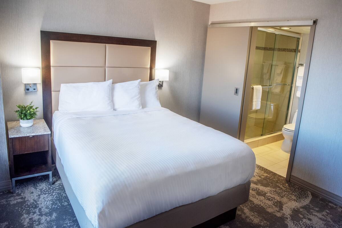 Habitación de hotel con una cama grande, una mesita de noche con lámpara, una planta en maceta y un box de ducha de vidrio.