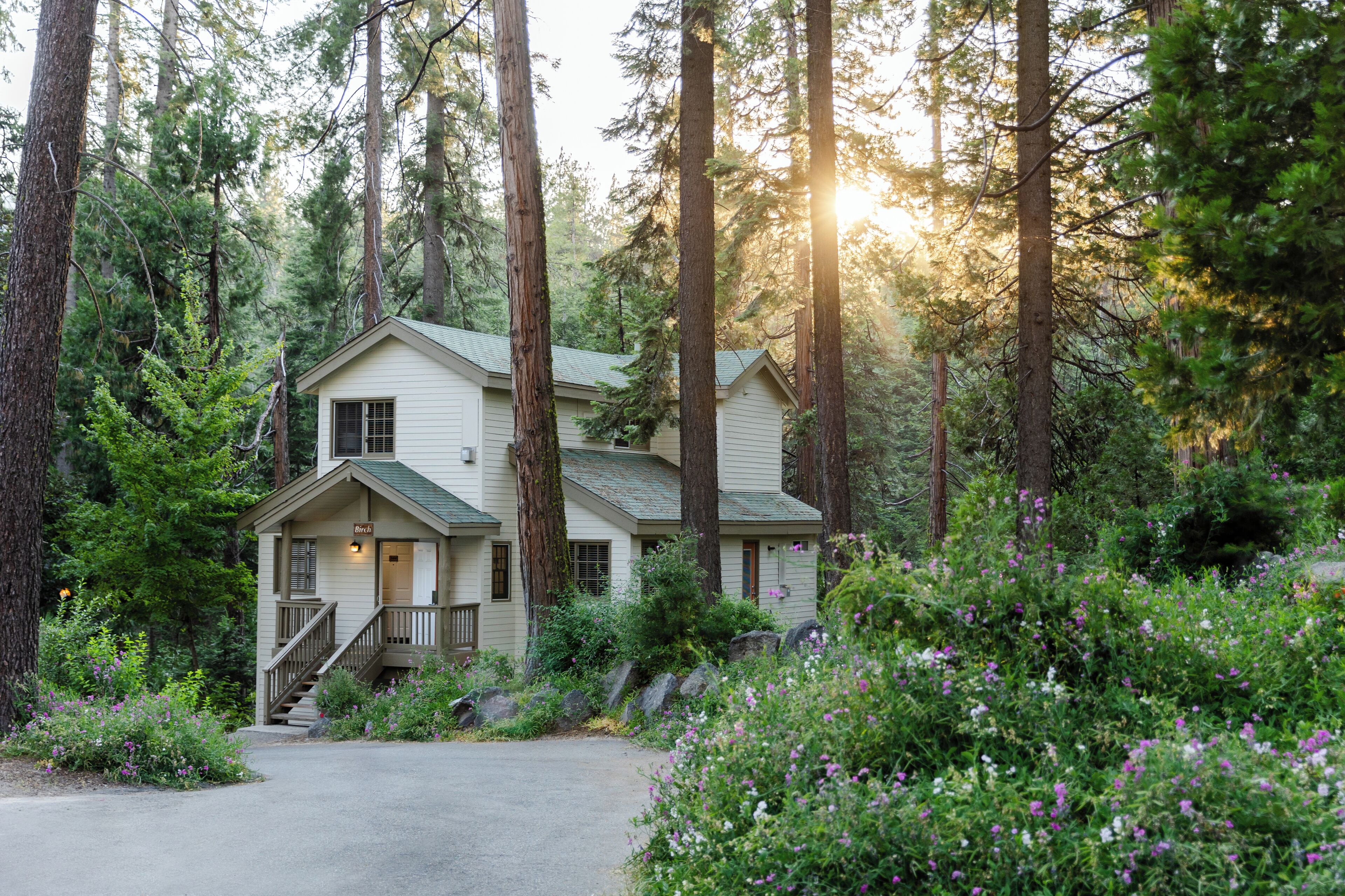 A two-story cabin surrounded by tall trees and lush greenery.