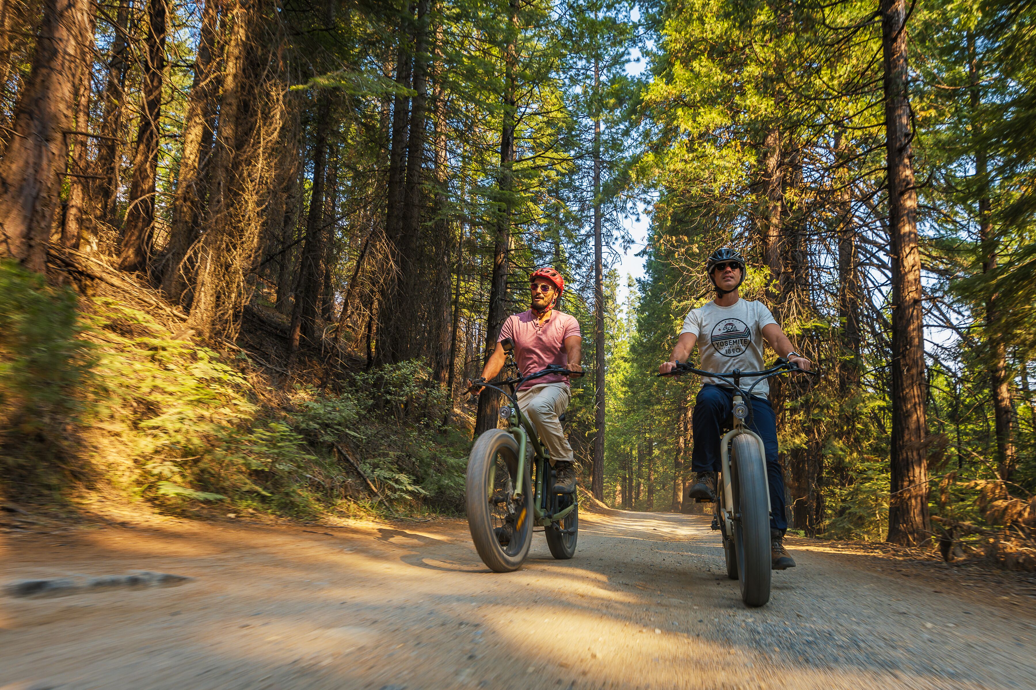 Two people riding bicycles on a forest trail.