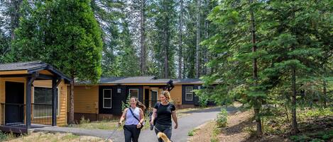 A pathway leading to a lodge with a wooden exterior, surrounded by tall evergreen trees.