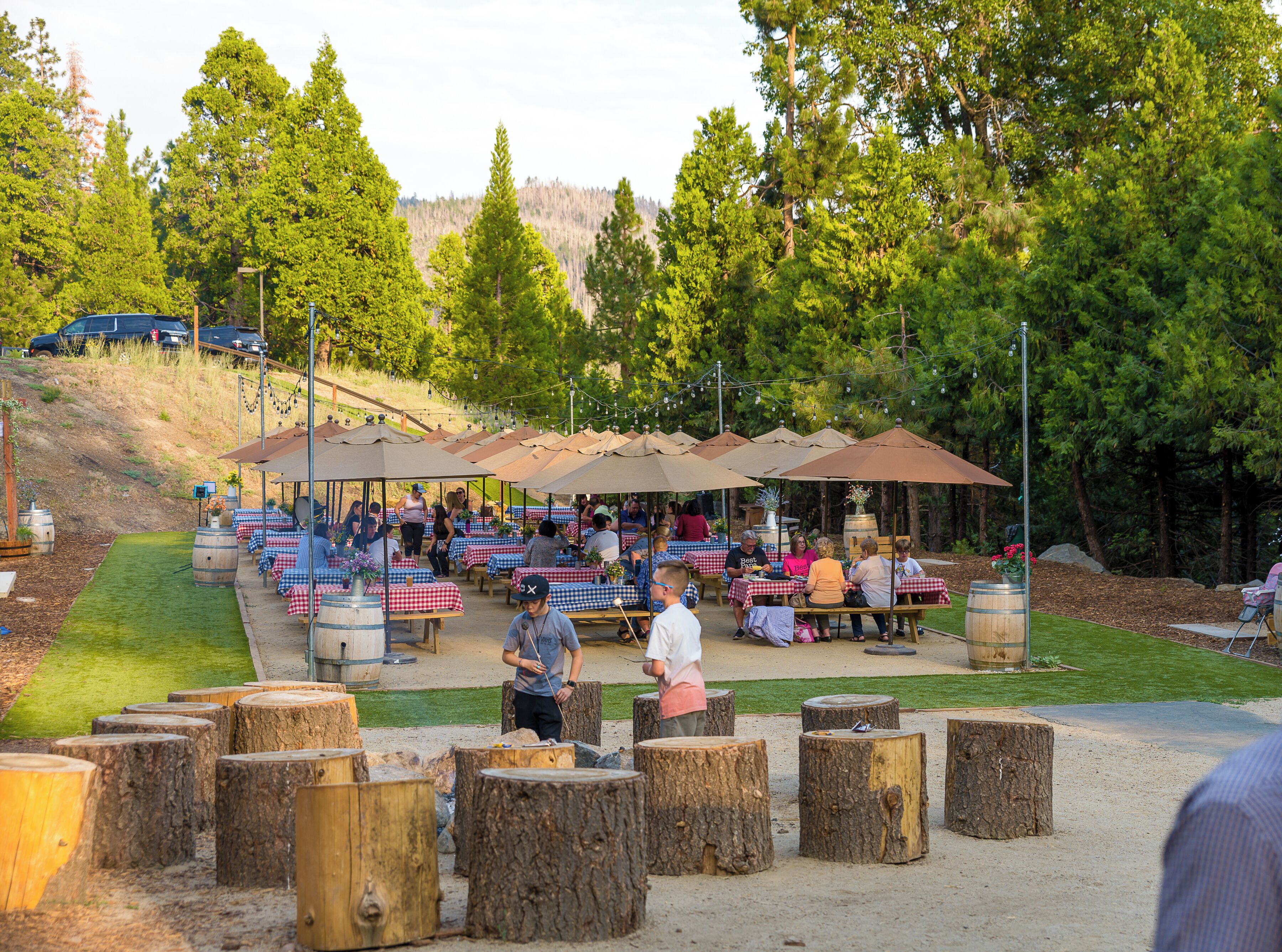 An outdoor dining area with tables and chairs, surrounded by trees and a dirt path.