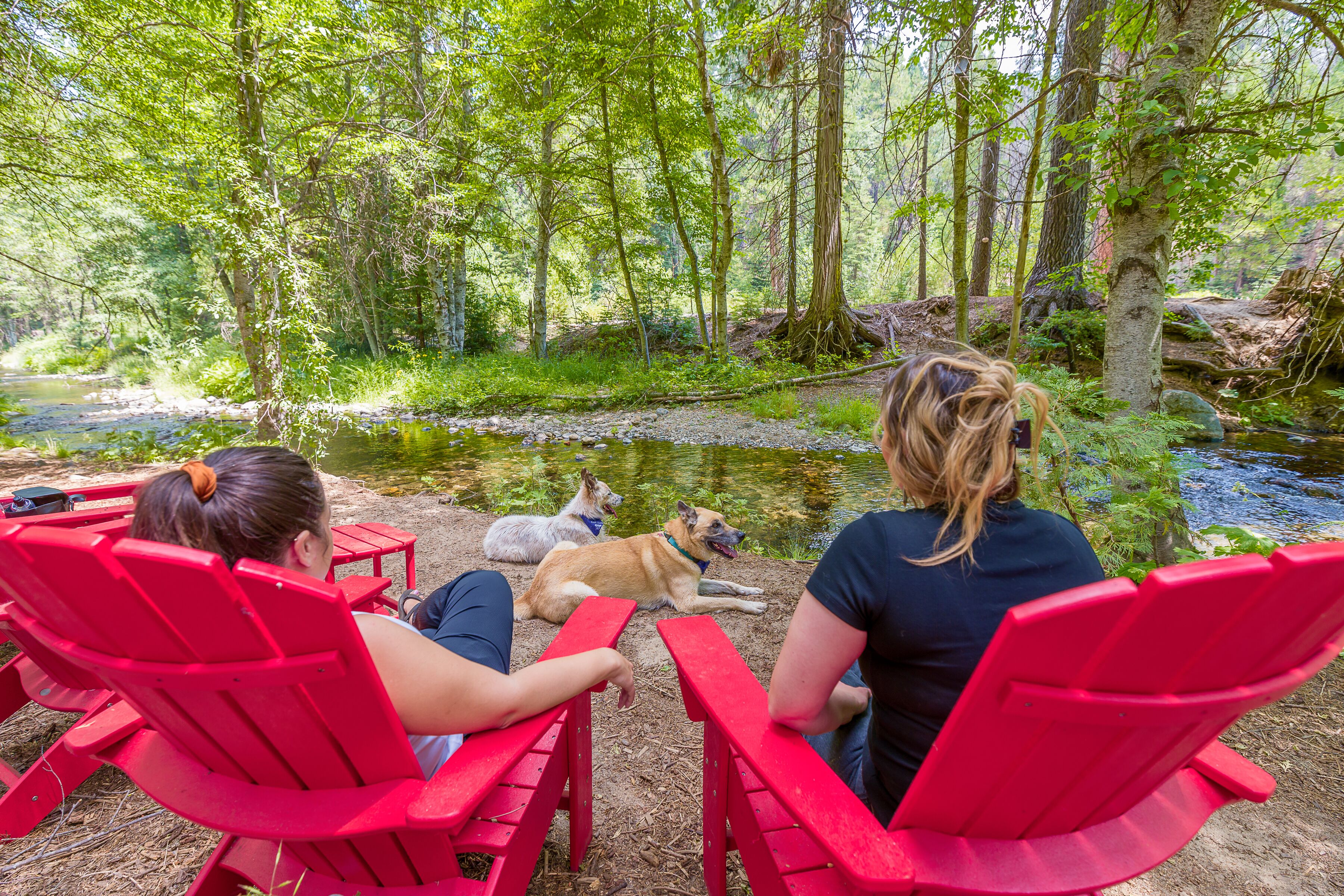 Trois personnes sont assises sur des fauteuils Adirondack rouges, face à un étang, et deux chiens se trouvent à proximité.