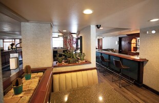 酒吧（店内）