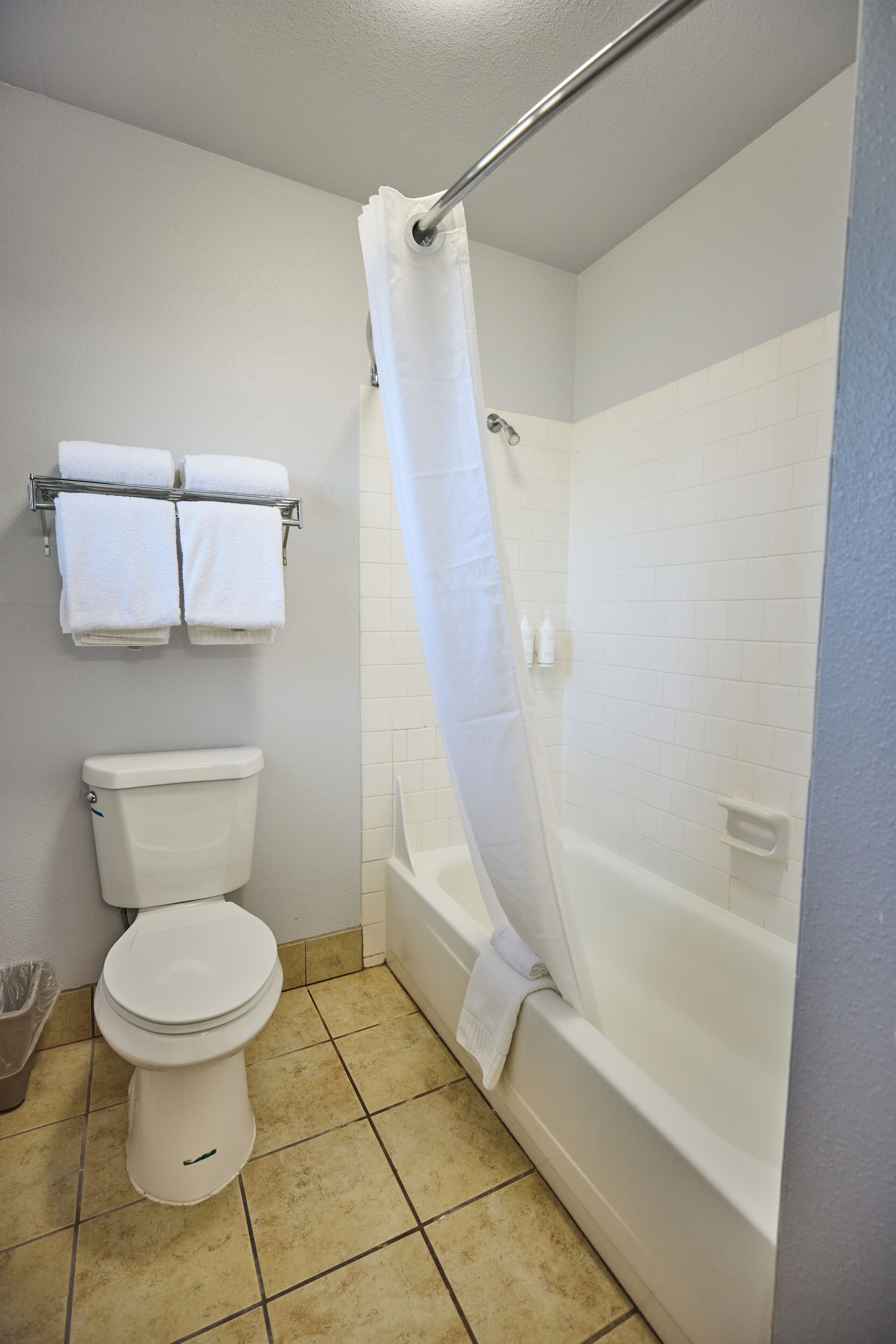 A bathroom with a toilet, a bathtub, and a shower curtain.