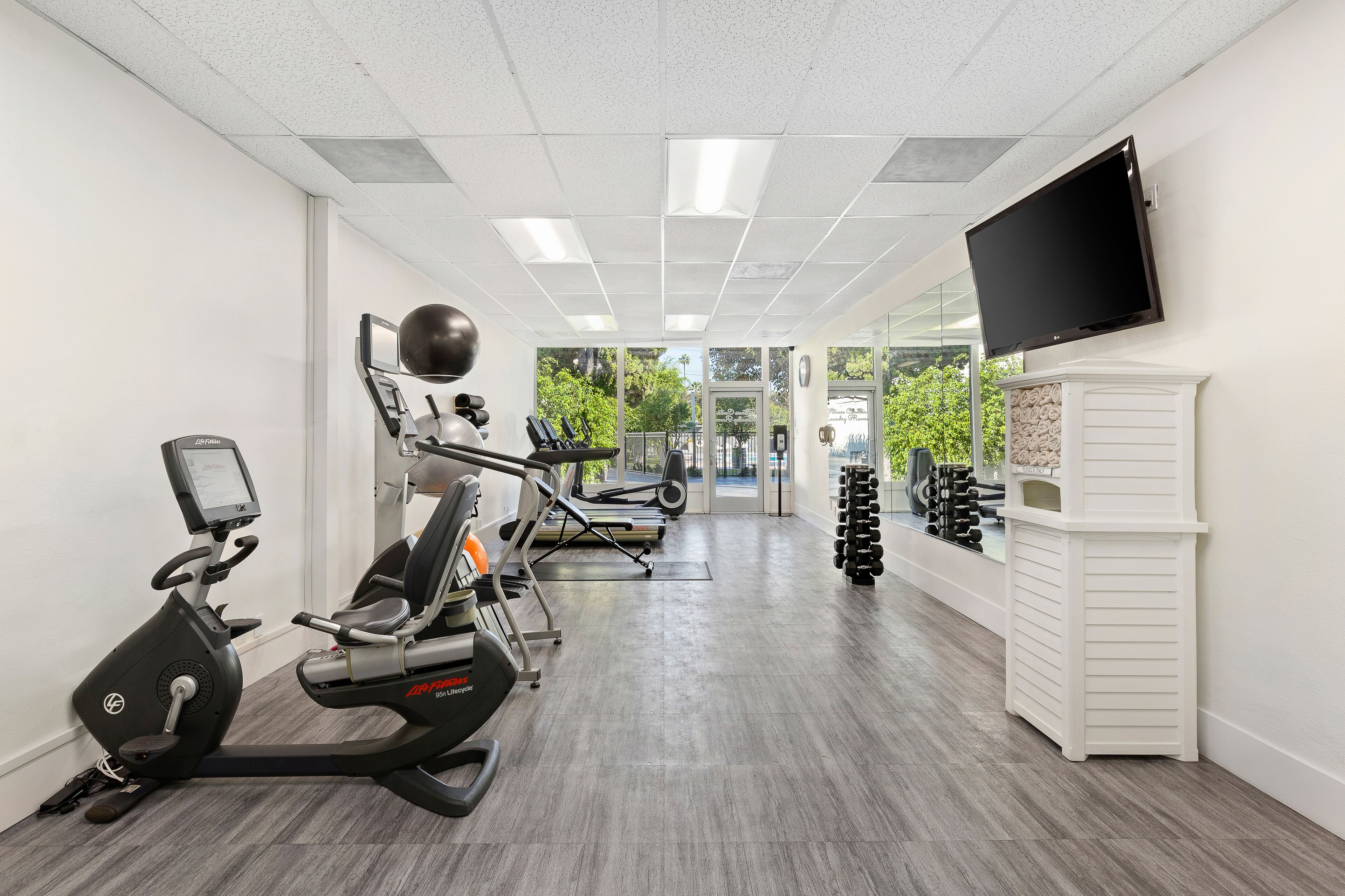 Une salle de sport équipée d’appareils de cardio, d’haltères et d’un téléviseur fixé au mur.
