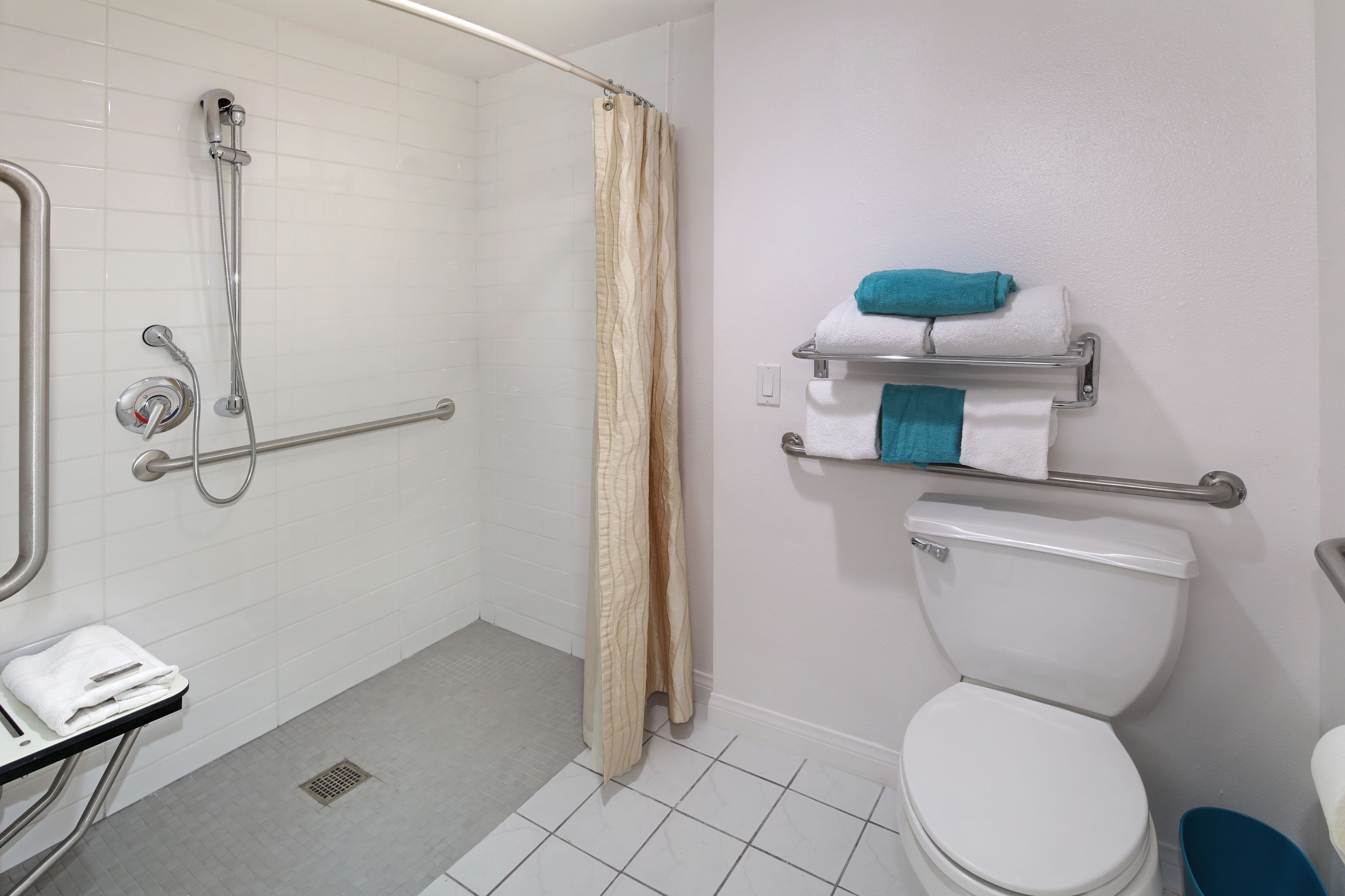 A bathroom with a shower, toilet, and handrails.