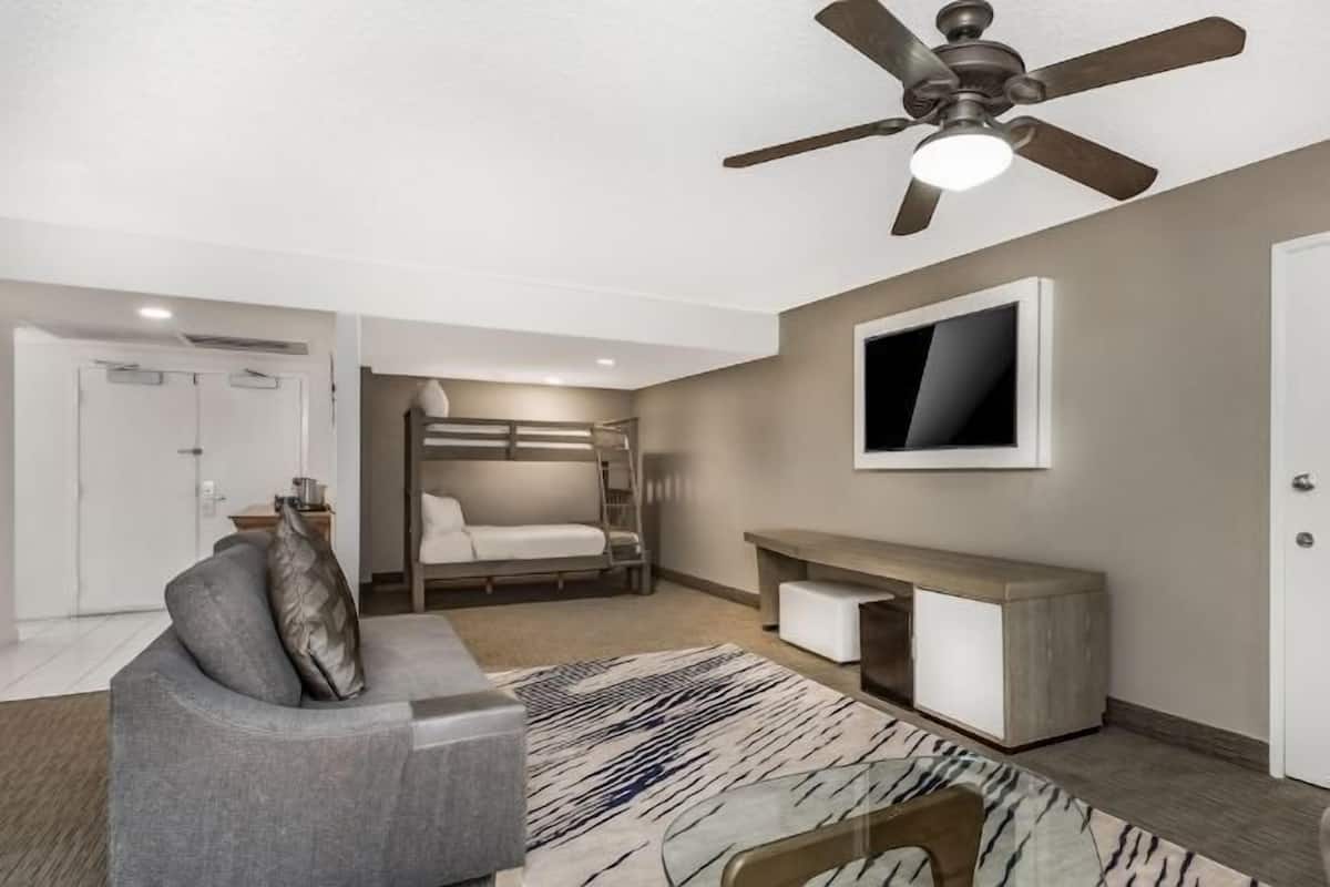 Premium bedding, in-room safe, desk, blackout curtains