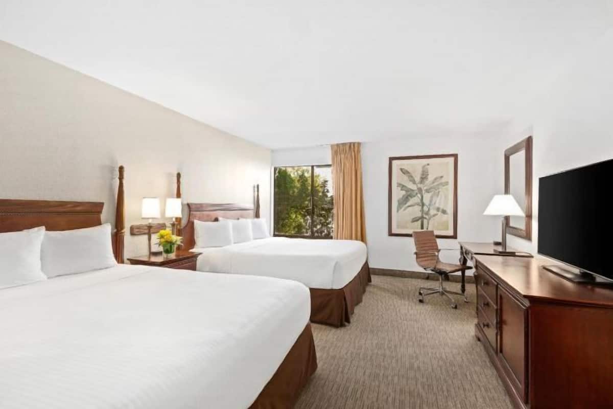 Premium bedding, in-room safe, desk, blackout curtains