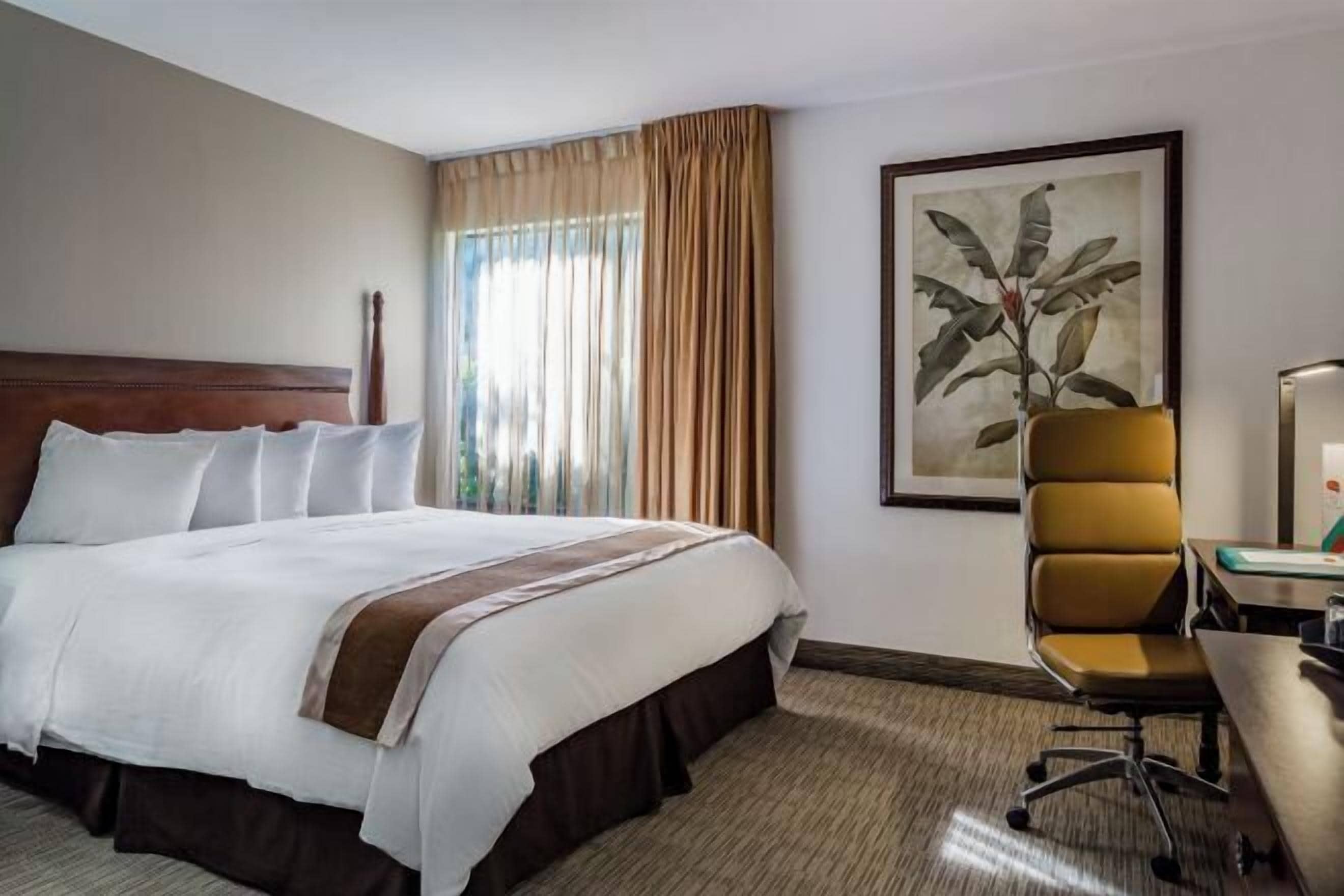 Premium bedding, in-room safe, desk, blackout drapes