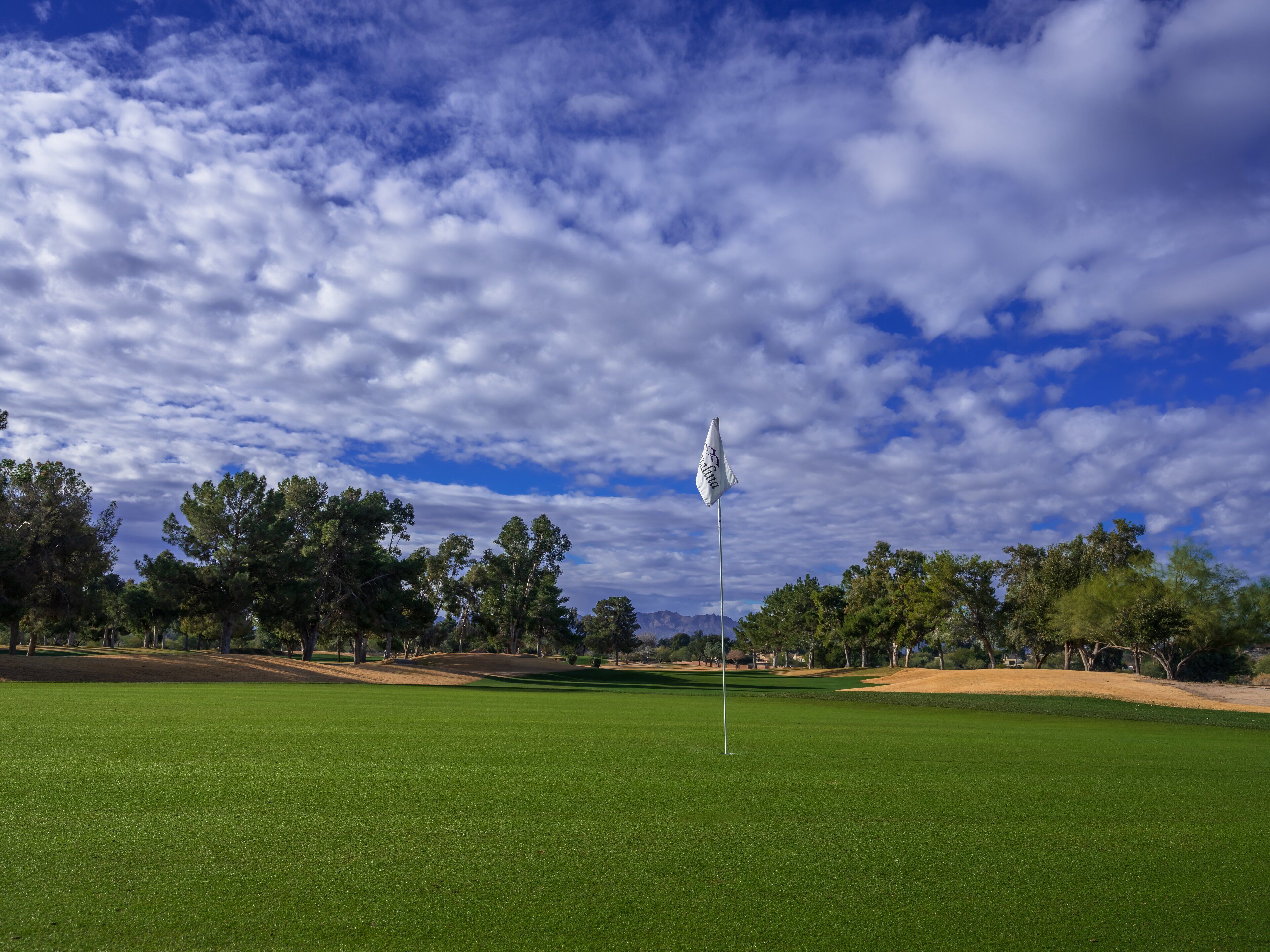 A golf course with a flagstick in the center, surrounded by green grass and trees under a partly cloudy sky.