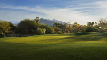 A golf course with a flagstick, surrounded by trees and mountains in the background.