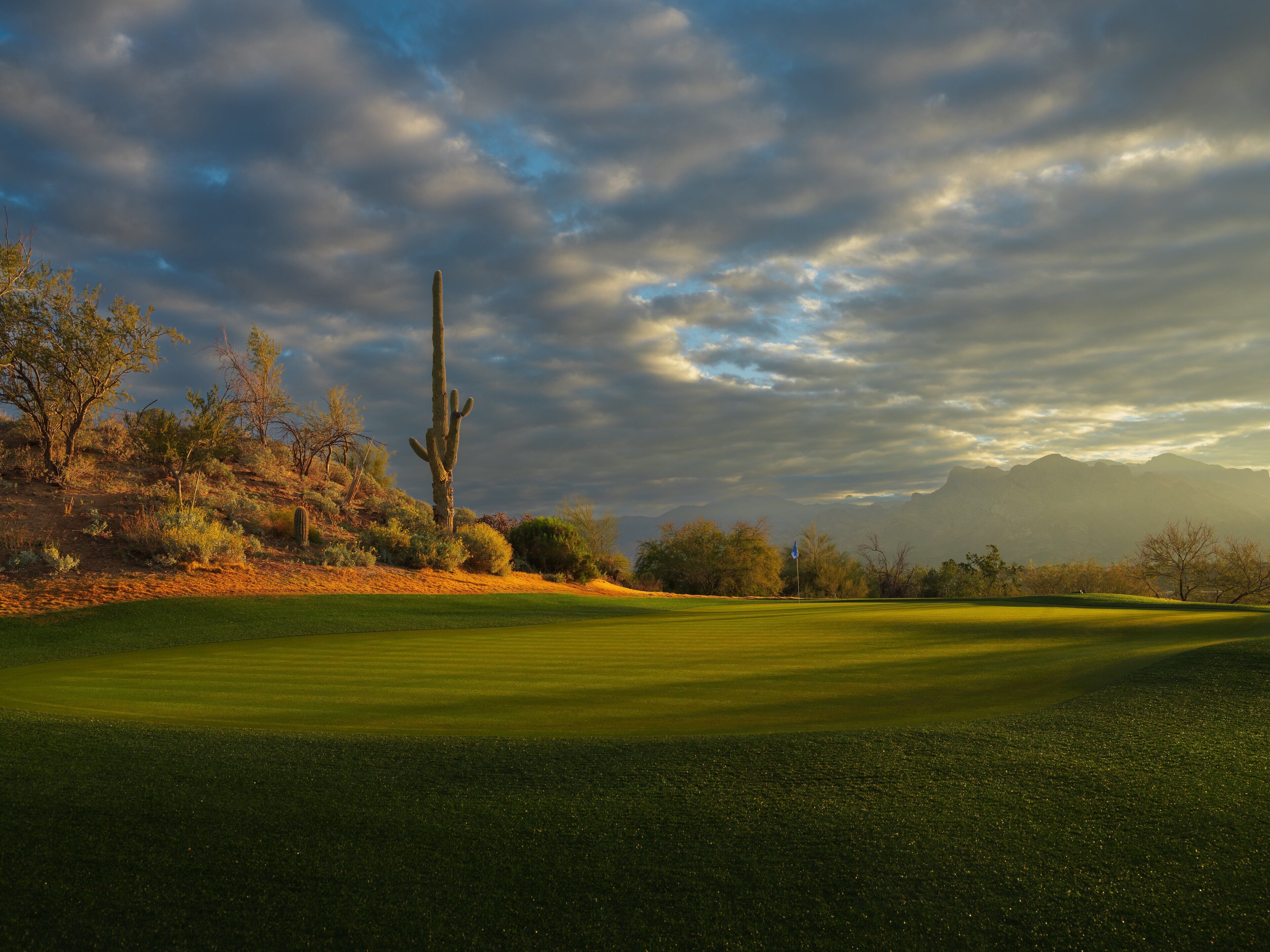Campo de golf con cielo despejado, cactus y montañas a lo lejos.