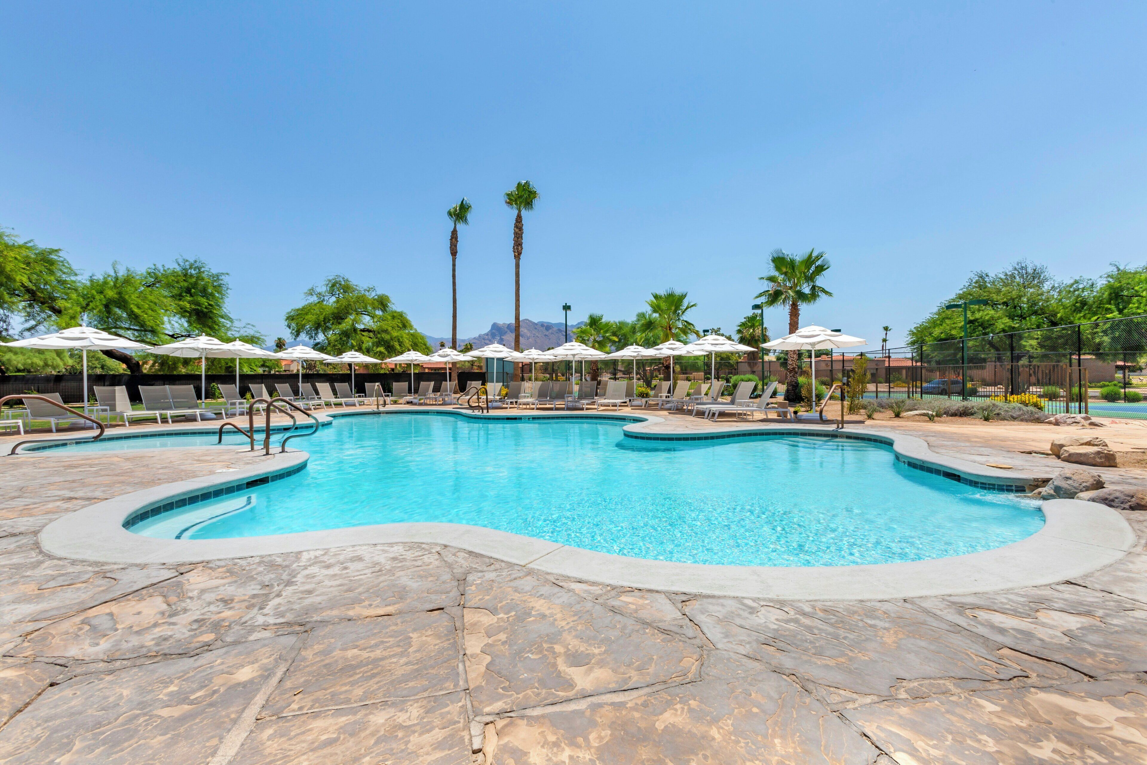 A swimming pool with lounge chairs and umbrellas, surrounded by palm trees and a clear sky.