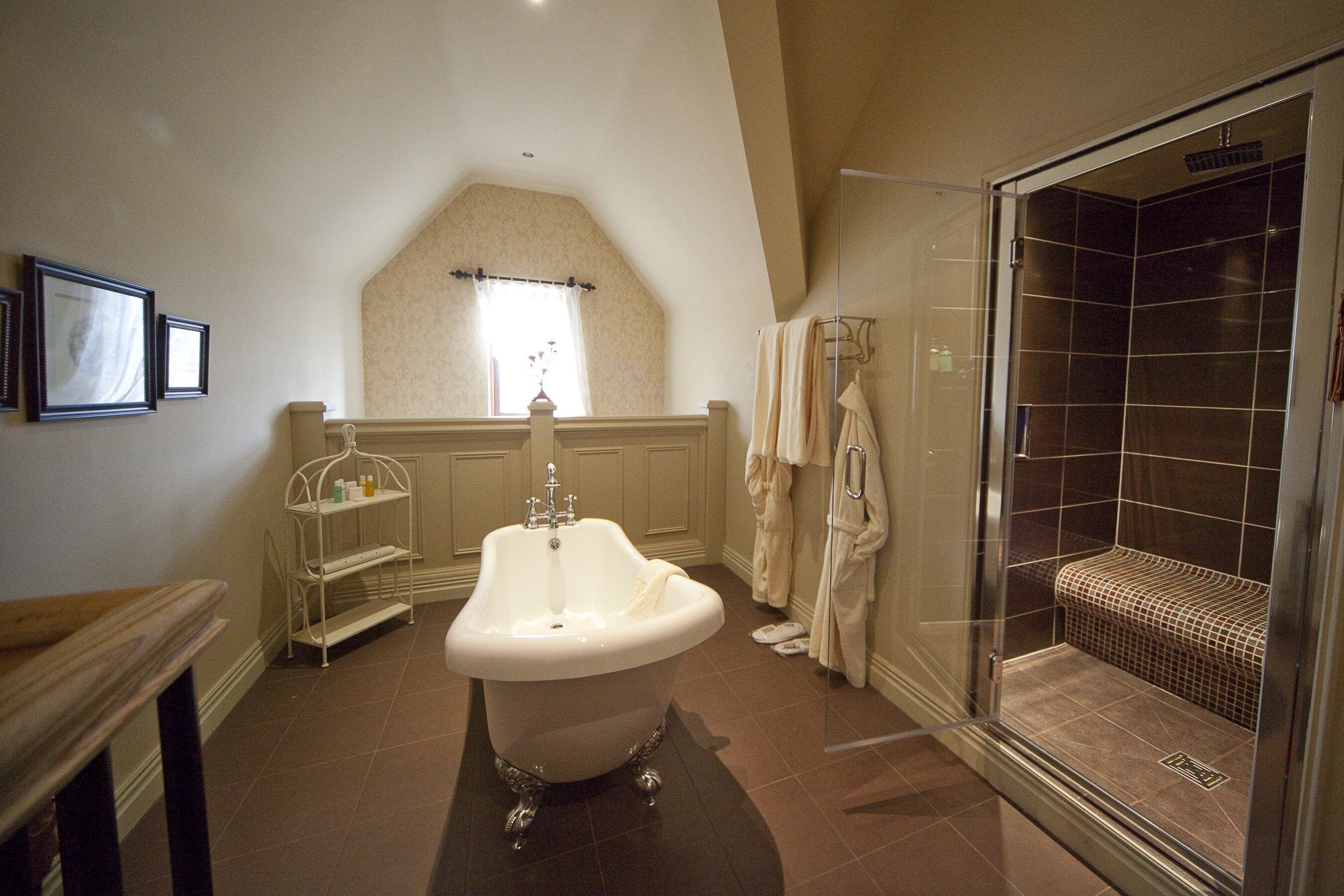 combined shower/bathtub, free toiletries, hair dryer, towels