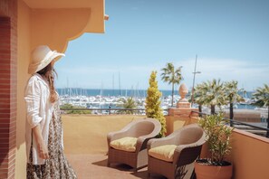 Suite ejecutiva | Terraza o patio